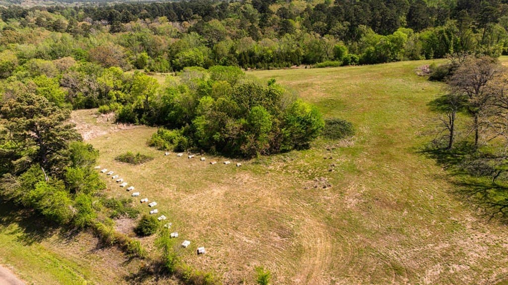 39.79 acres in ANDERSON County - photo 44