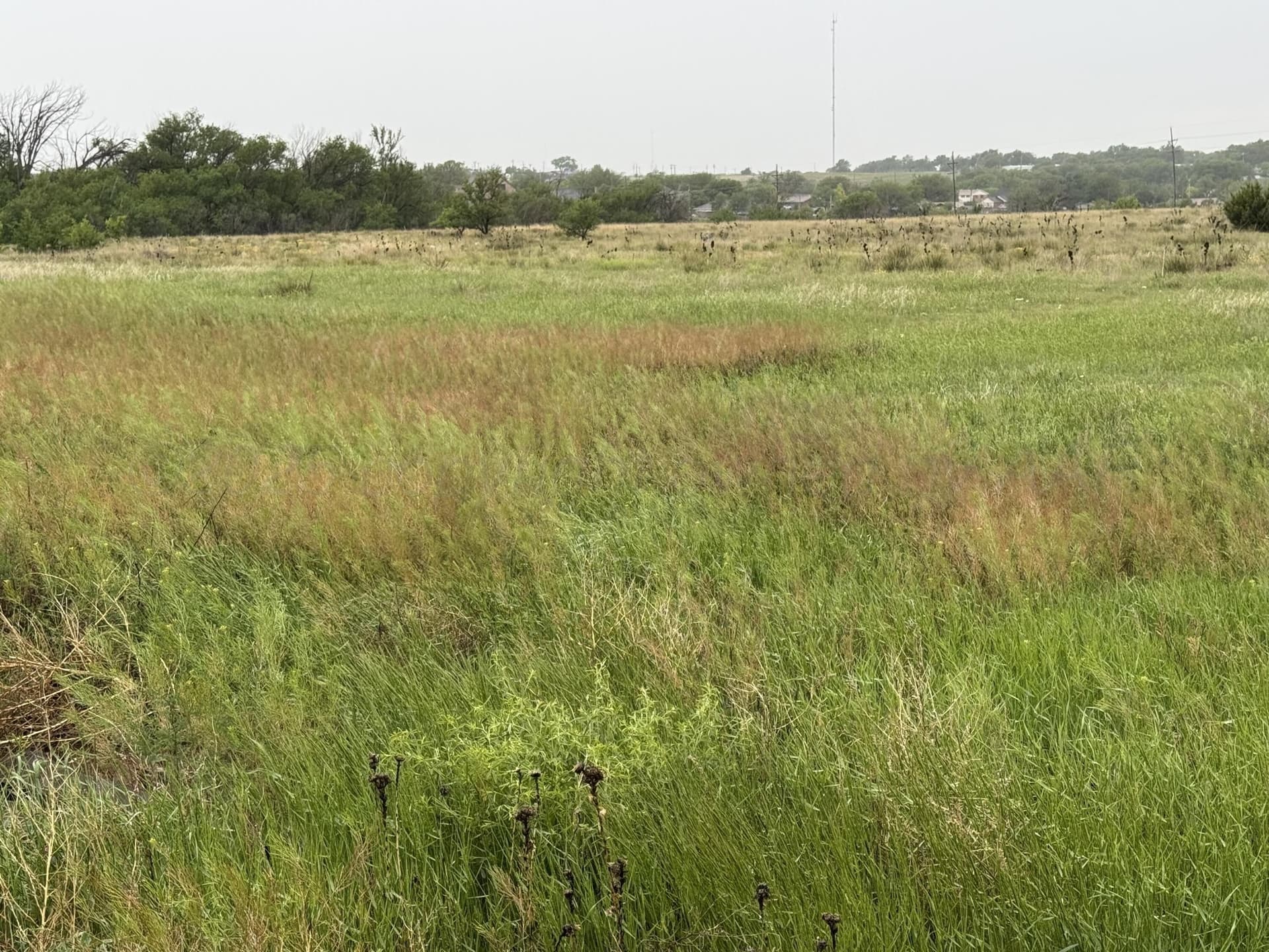 0 acres in Potter County gallery image 2