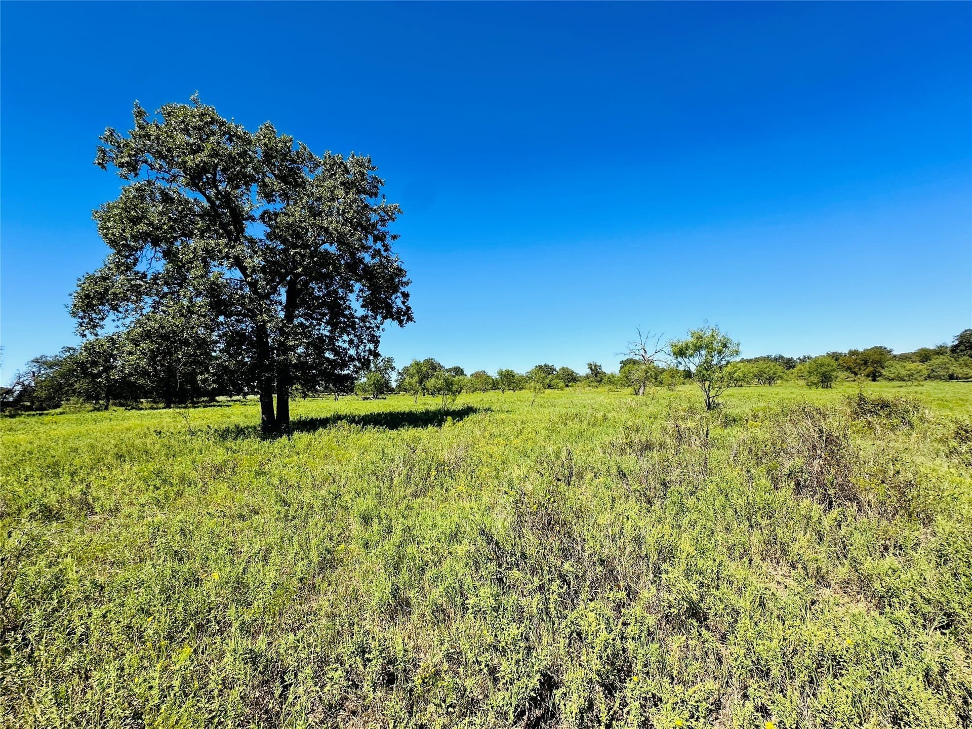 78 acres in Callahan County - photo 33