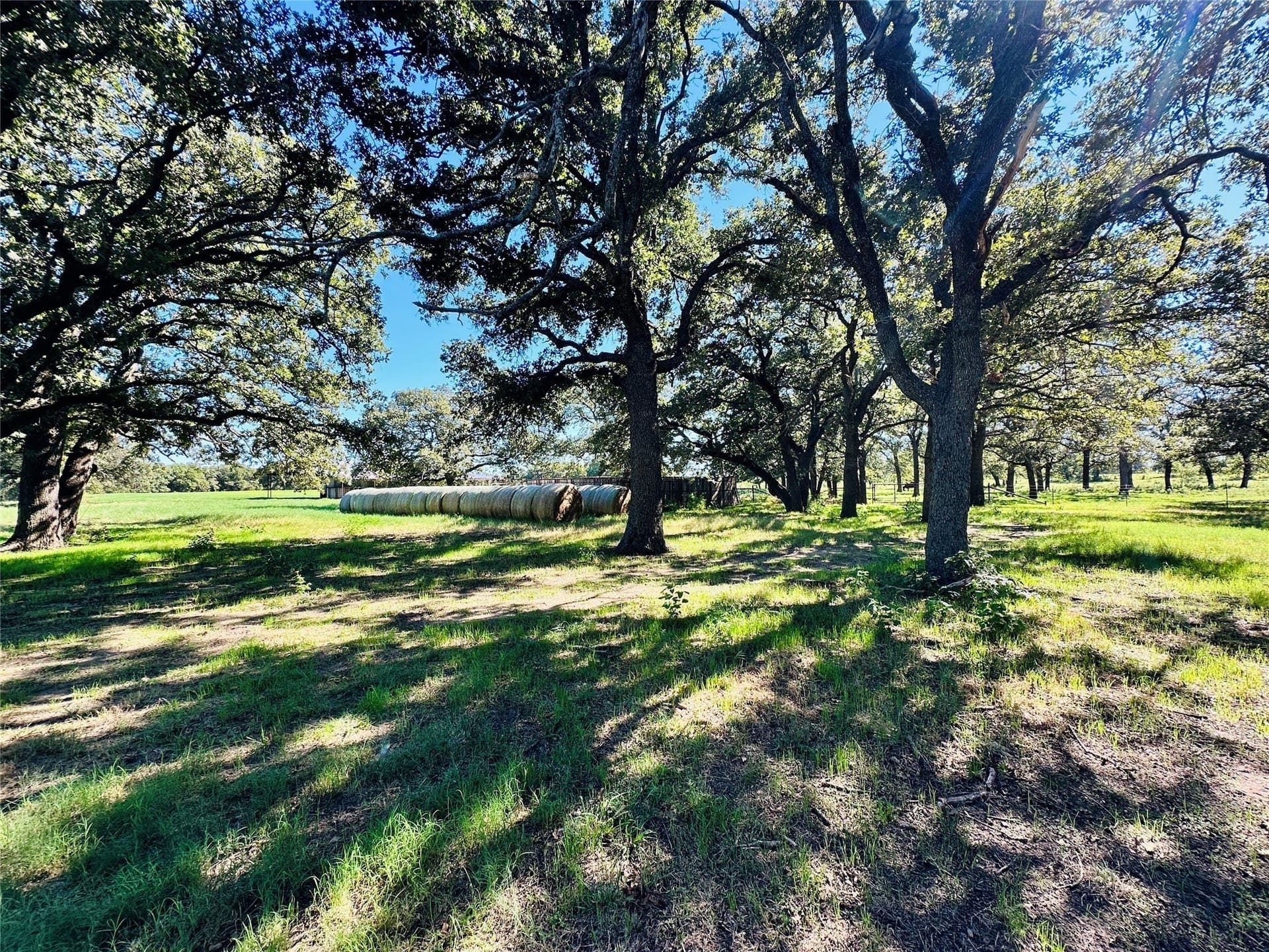 78 acres in Callahan County - photo 35