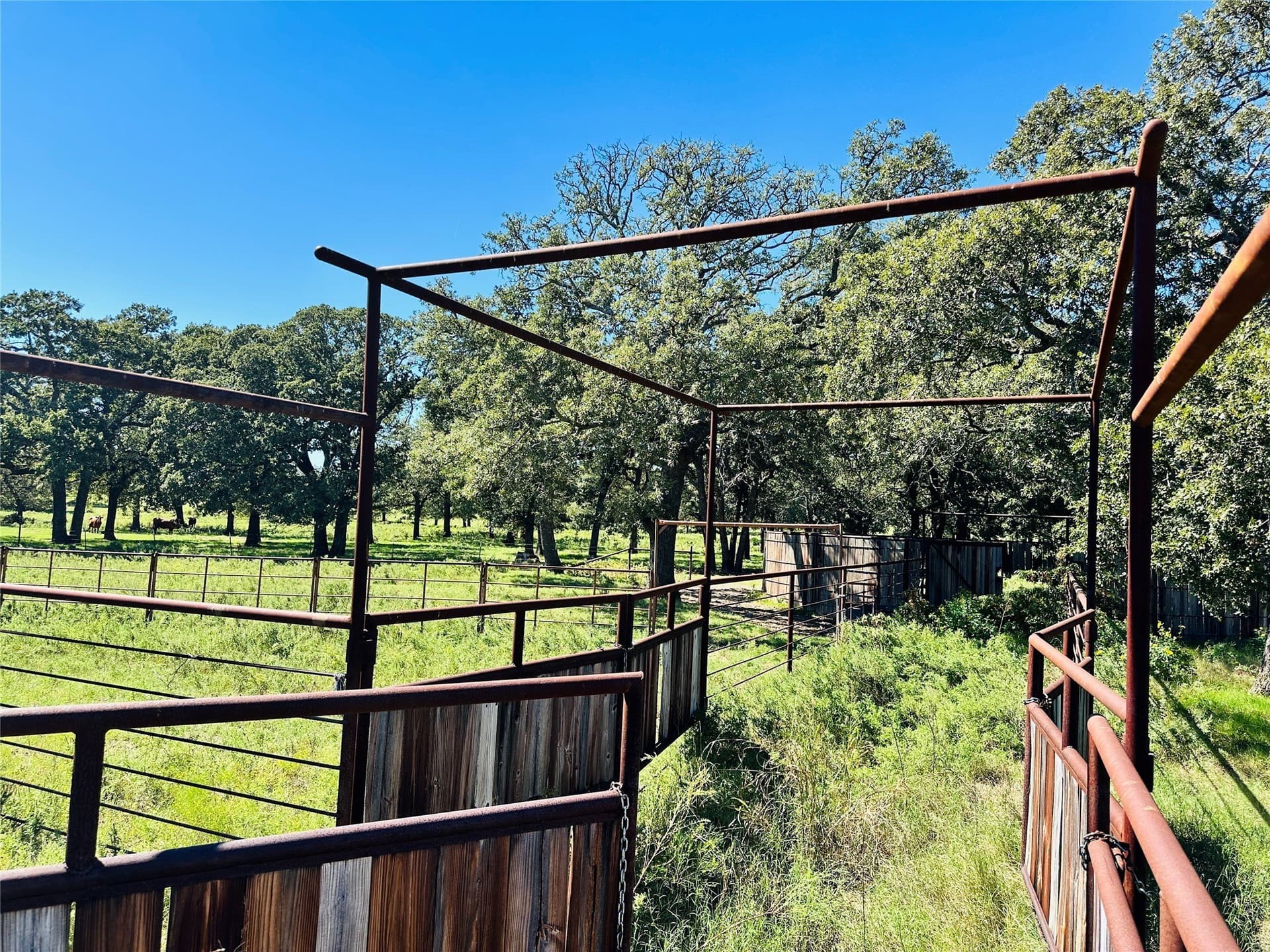 78 acres in Callahan County - photo 15