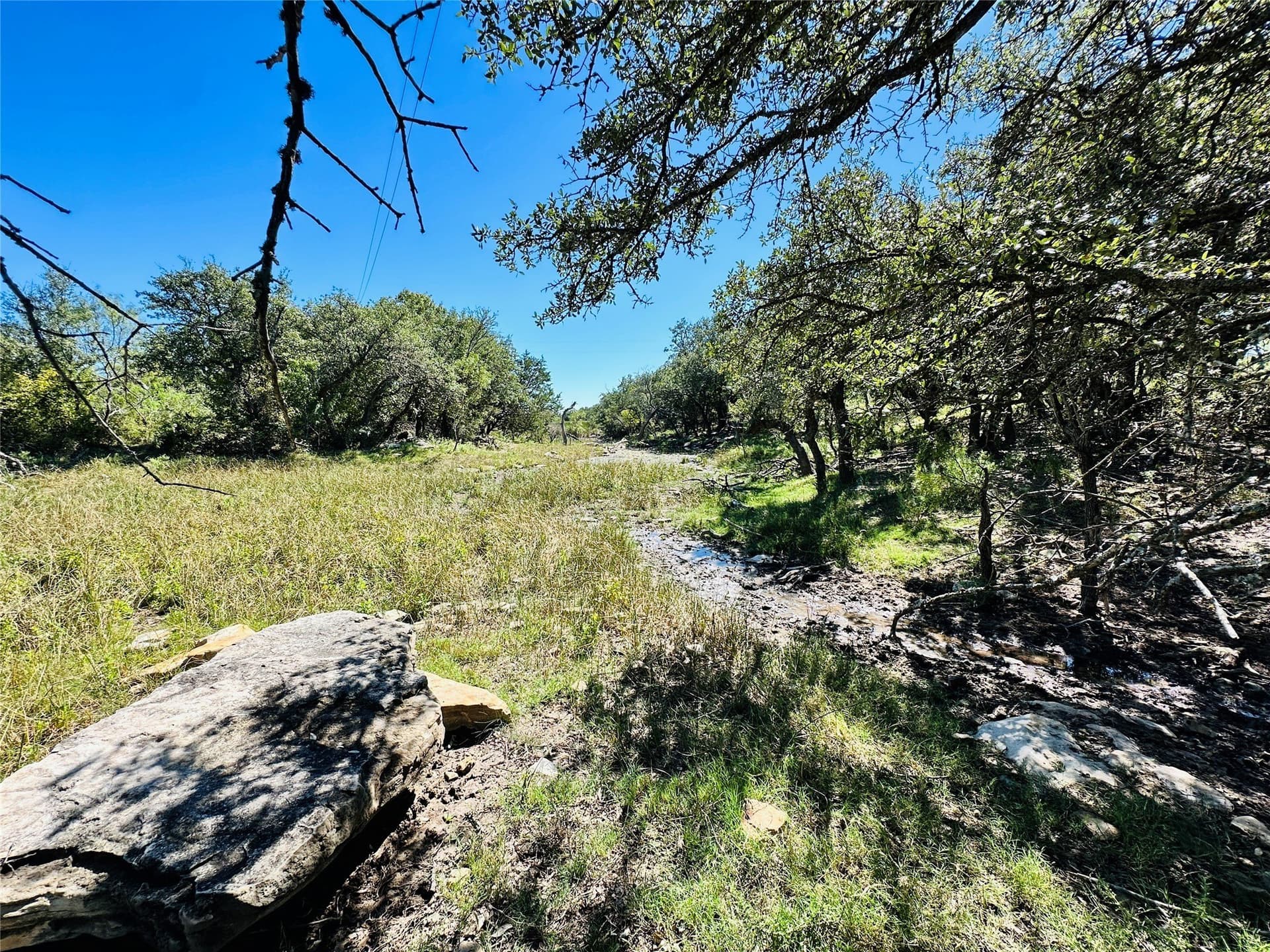 78 acres in Callahan County - photo 23