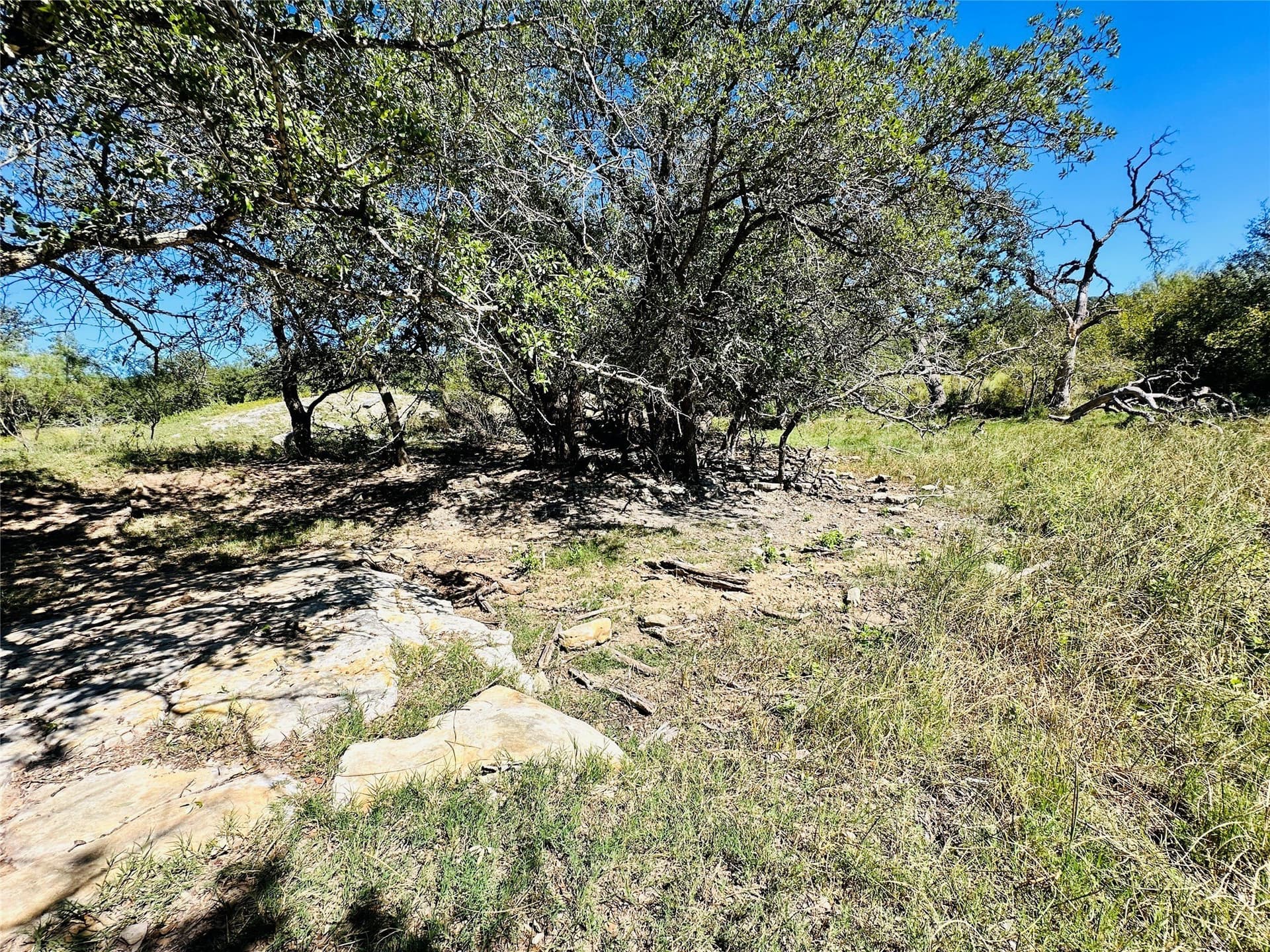 78 acres in Callahan County - photo 32