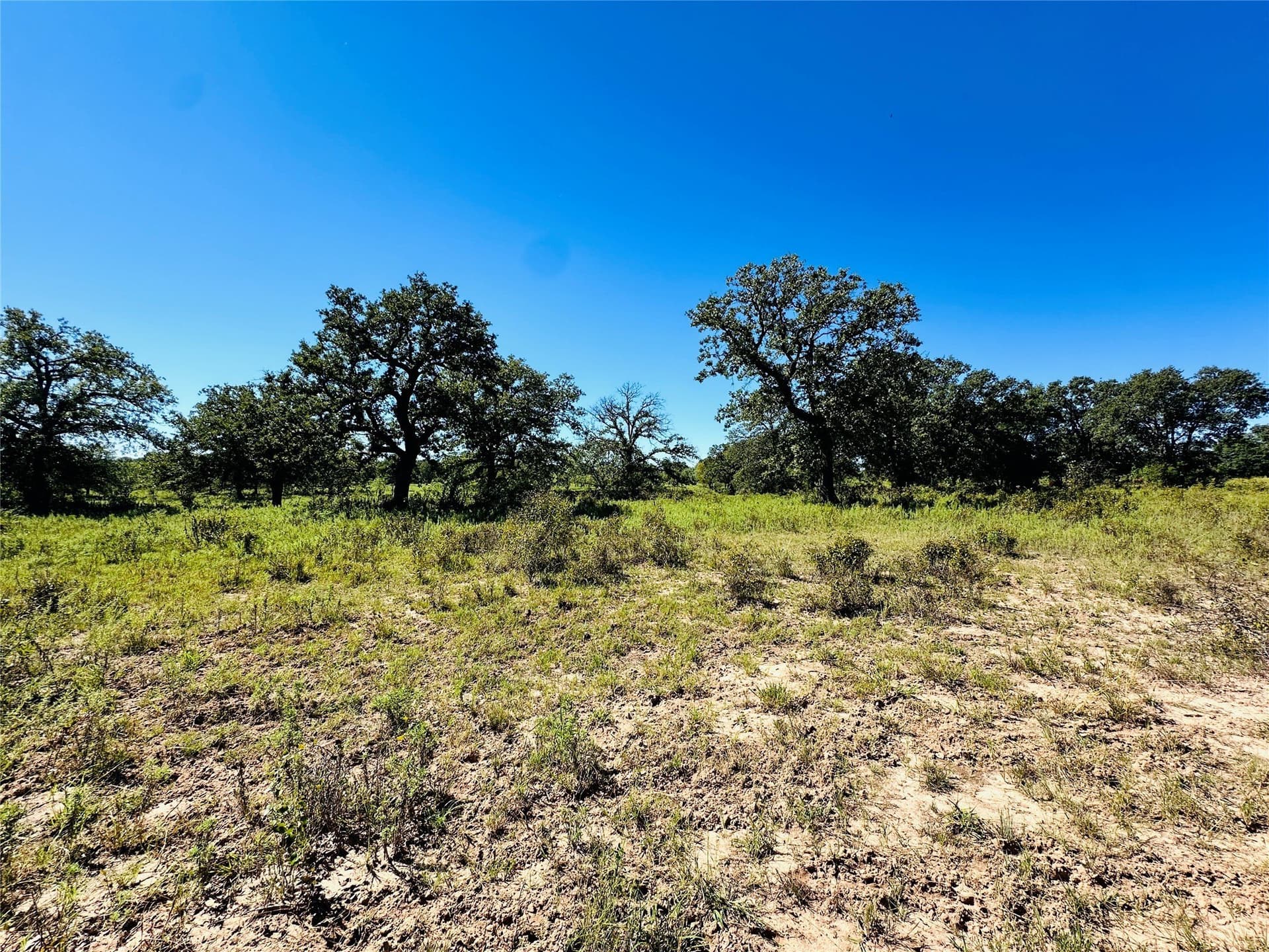 78 acres in Callahan County - photo 22