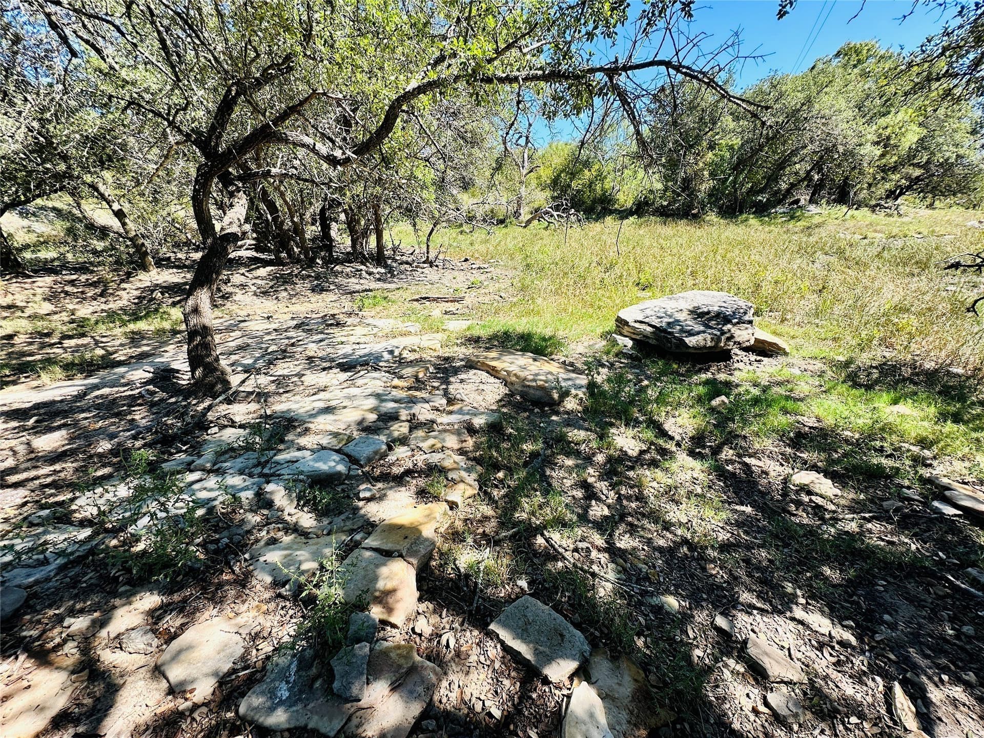 78 acres in Callahan County - photo 21
