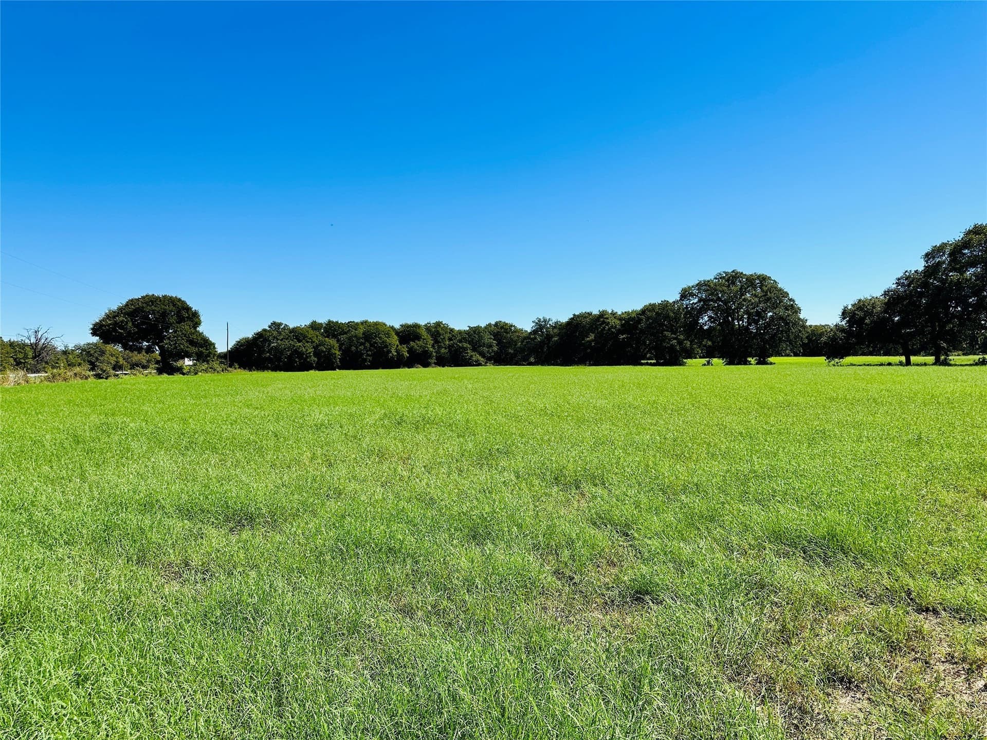 78 acres in Callahan County - photo 3