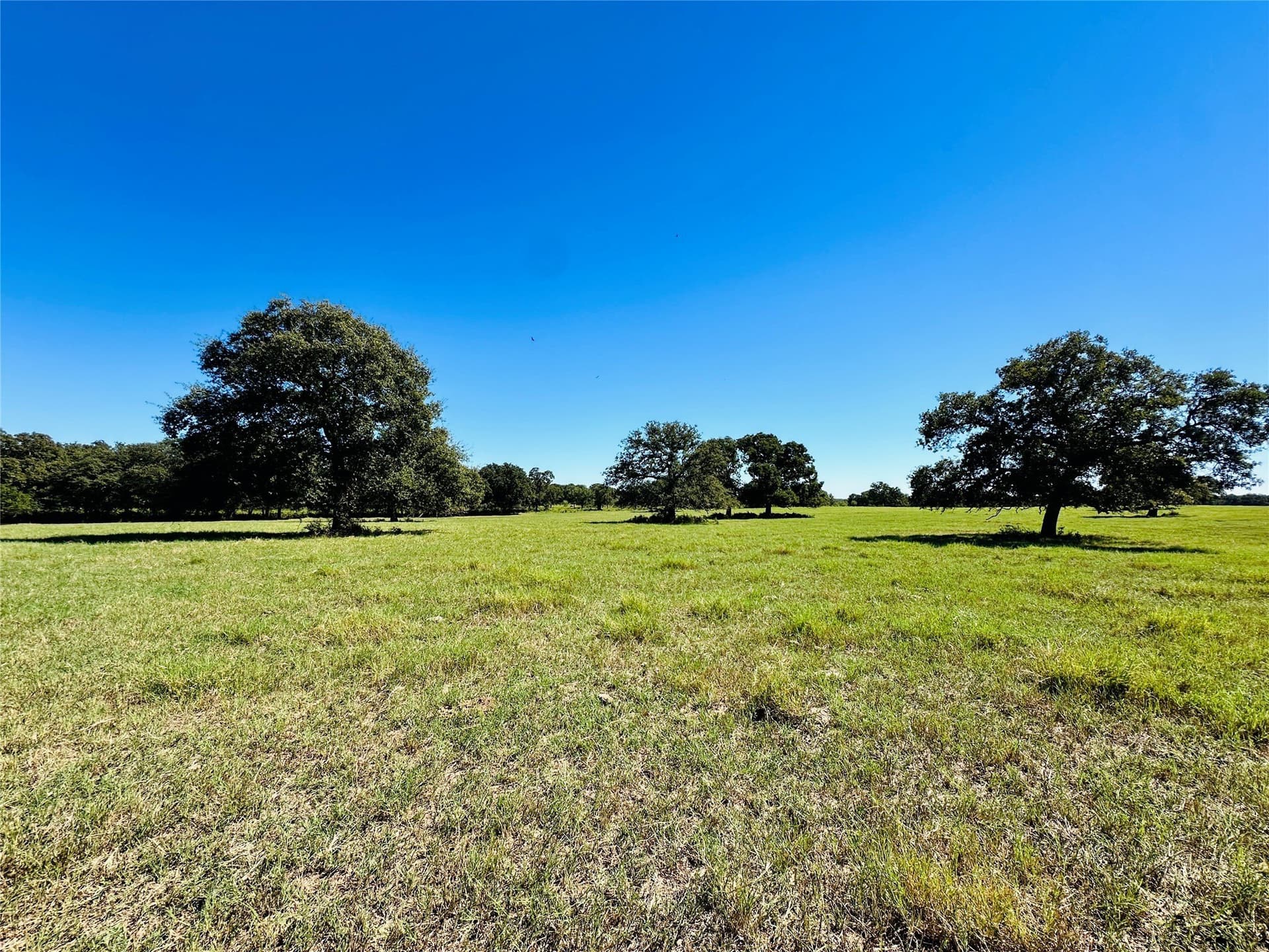 78 acres in Callahan County - photo 9