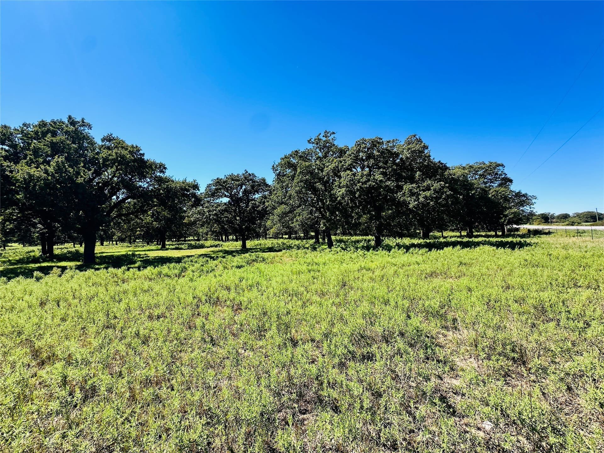 78 acres in Callahan County - photo 4