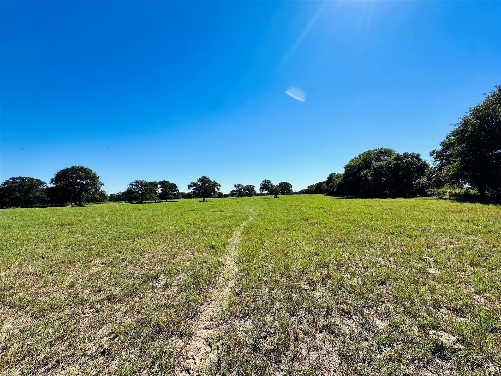 78 acres in Callahan County - photo 28