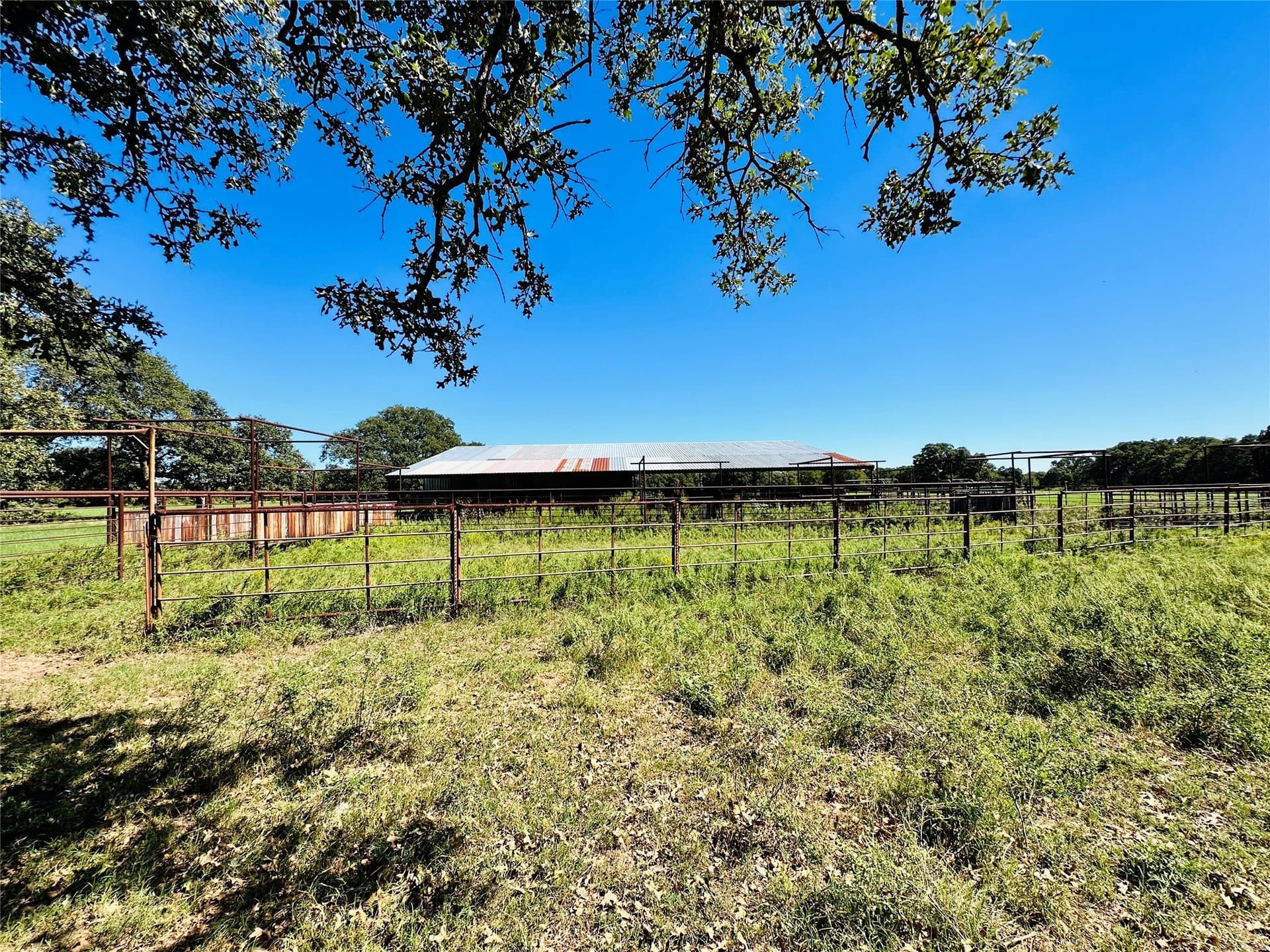 78 acres in Callahan County - photo 14