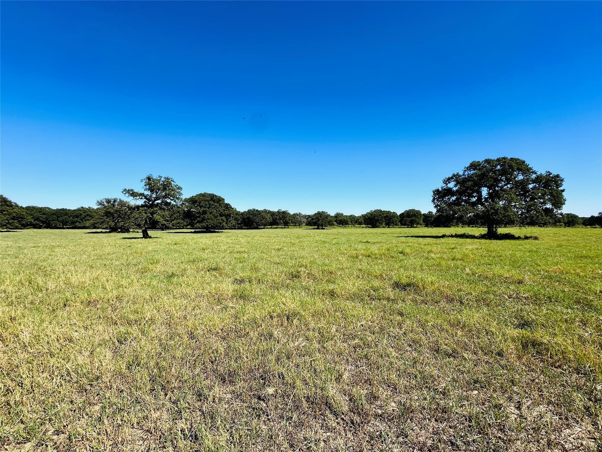 78 acres in Callahan County - photo 27