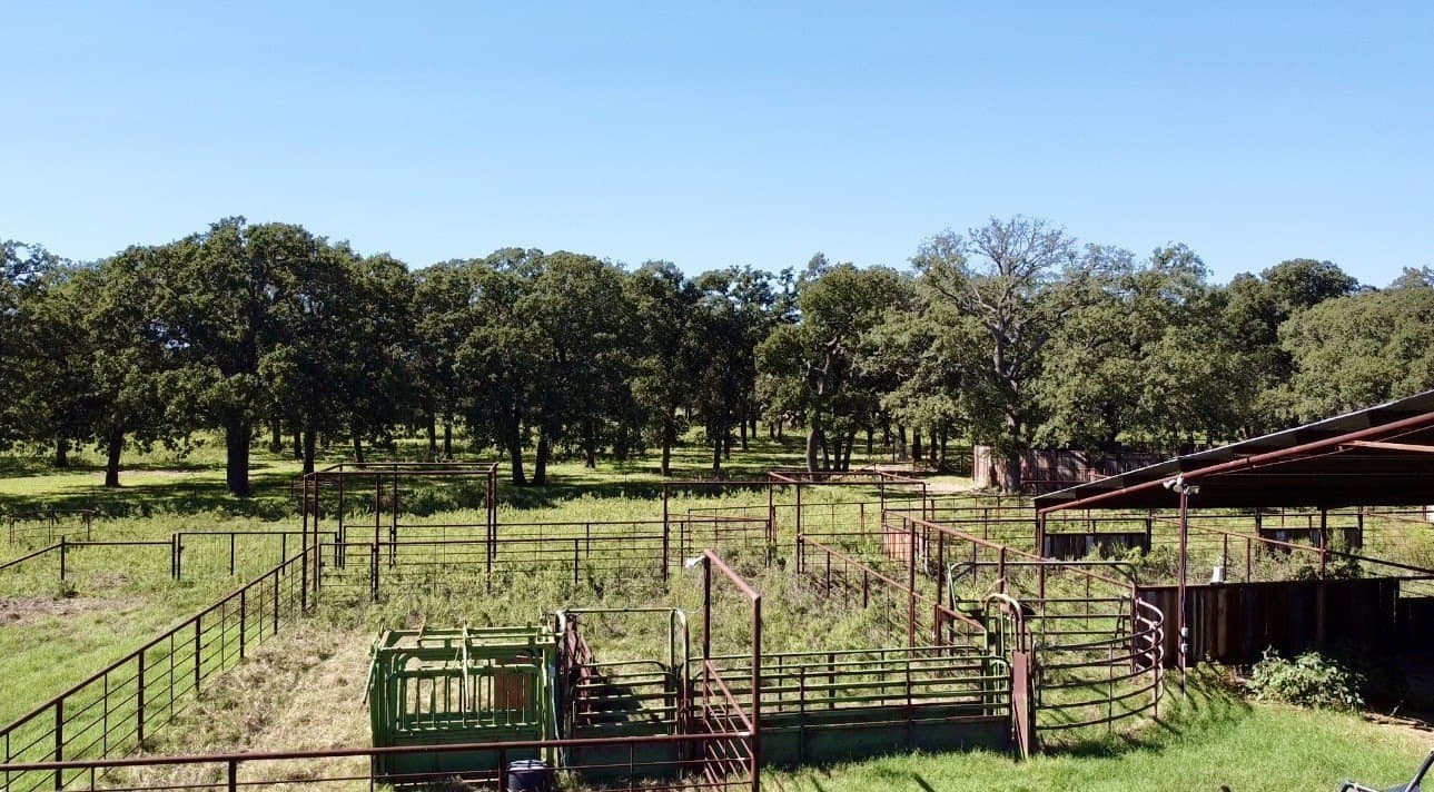 78 acres in Callahan County - photo 11