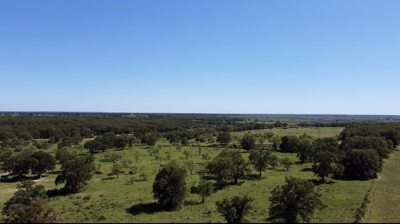 78 acres in Callahan County - photo 24