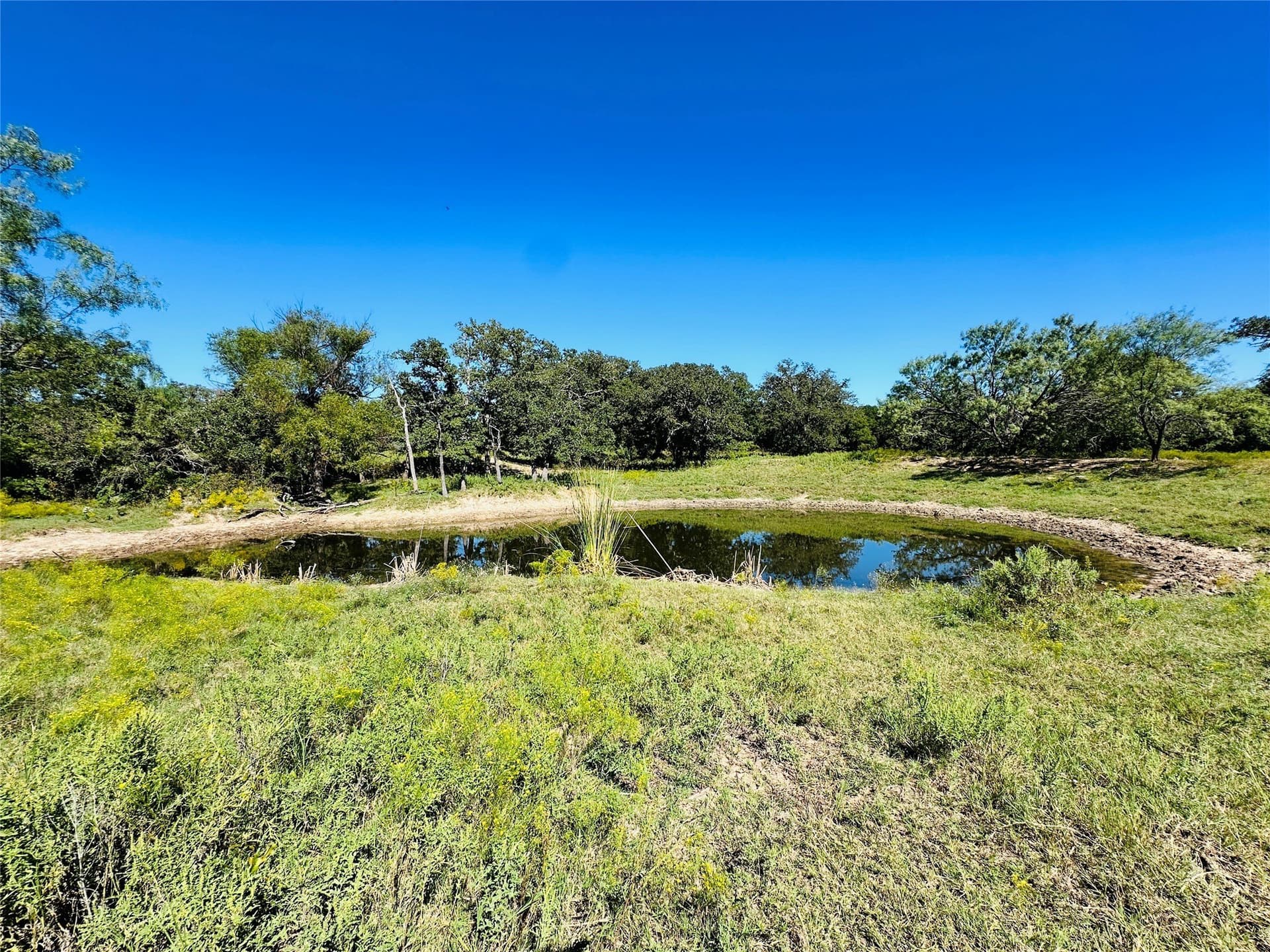 78 acres in Callahan County - photo 26
