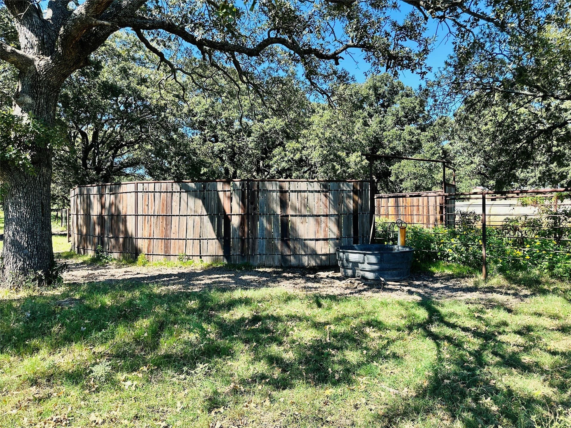 78 acres in Callahan County - photo 16