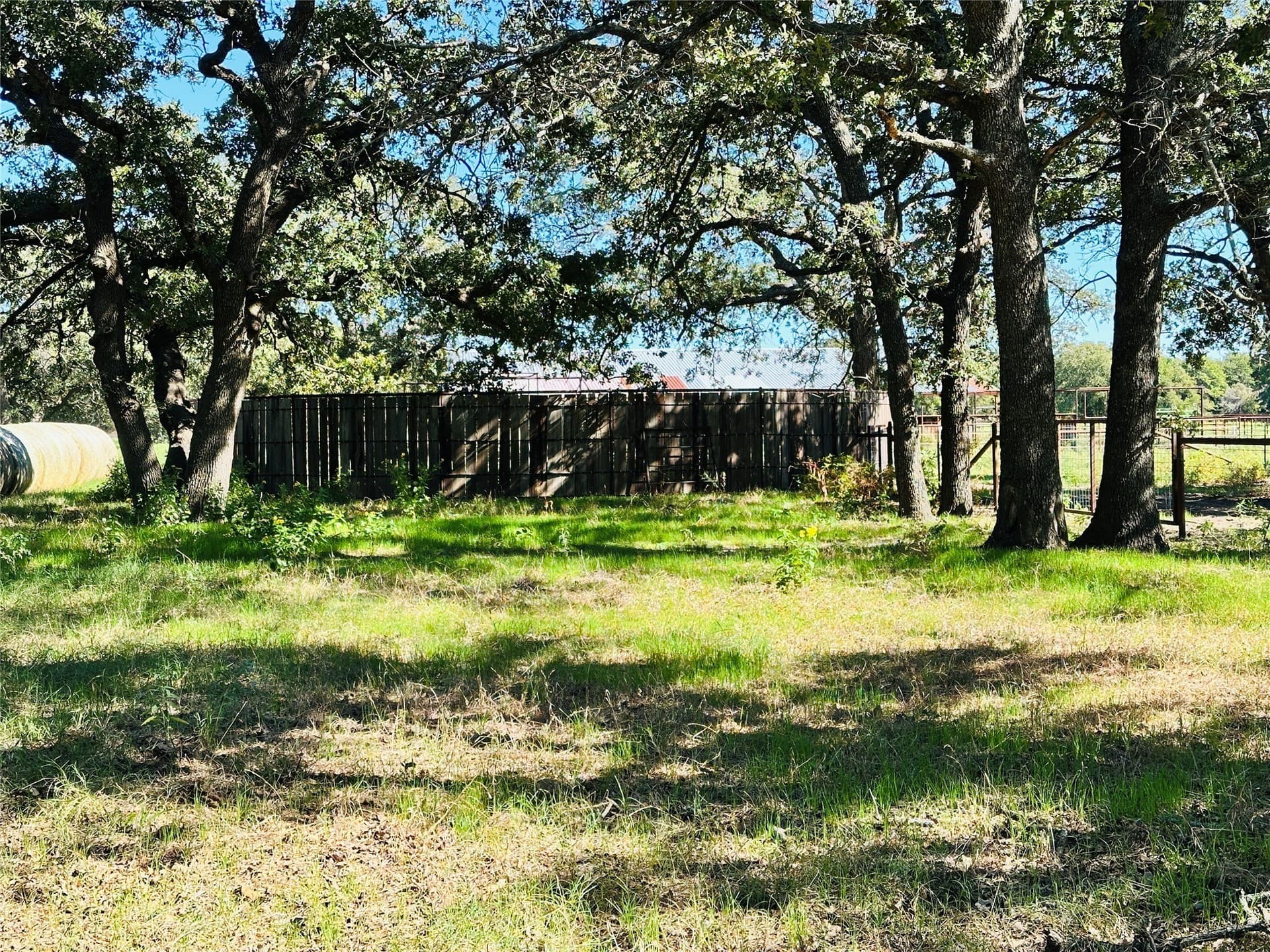 78 acres in Callahan County - photo 17