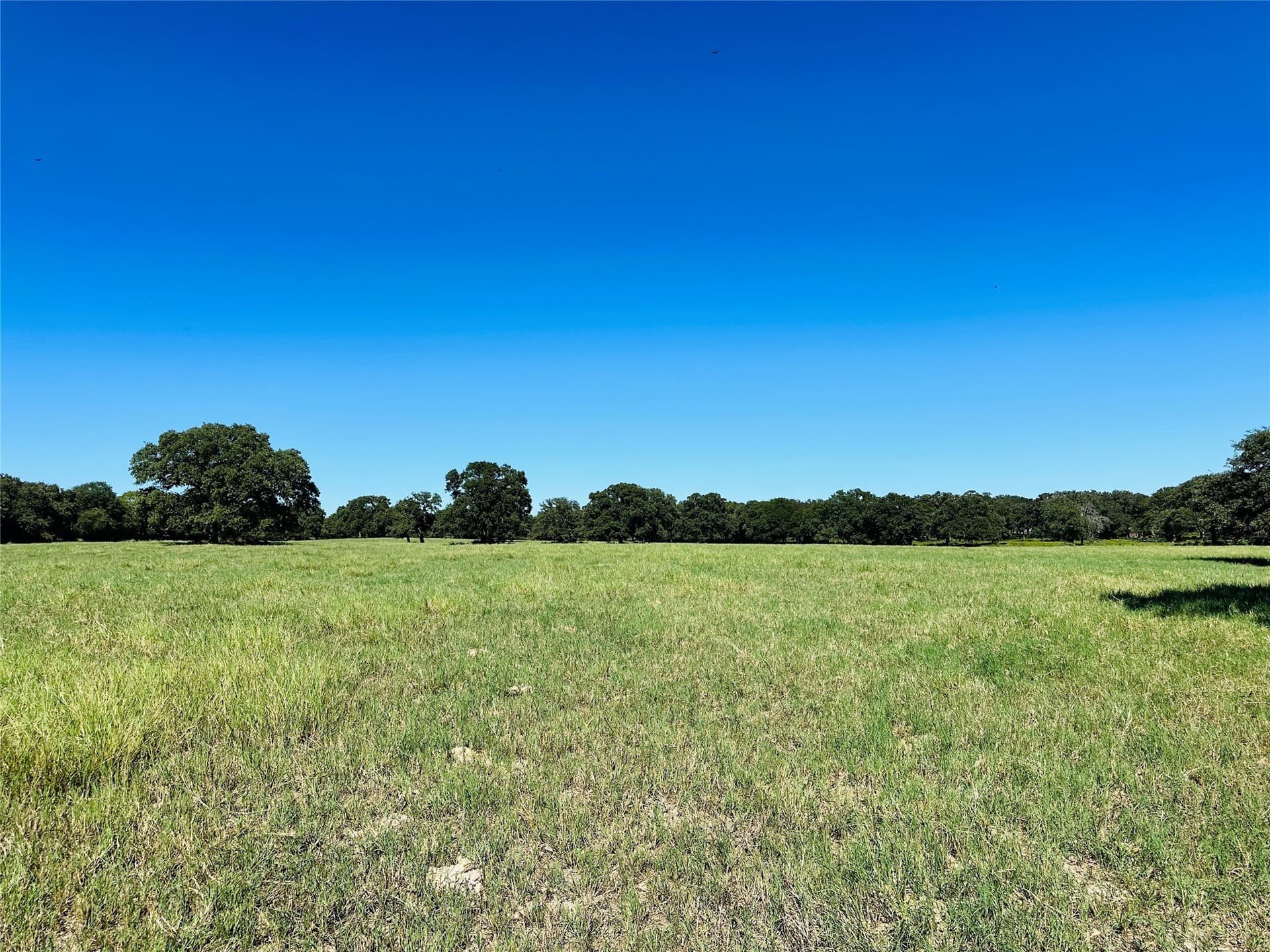 78 acres in Callahan County - photo 34