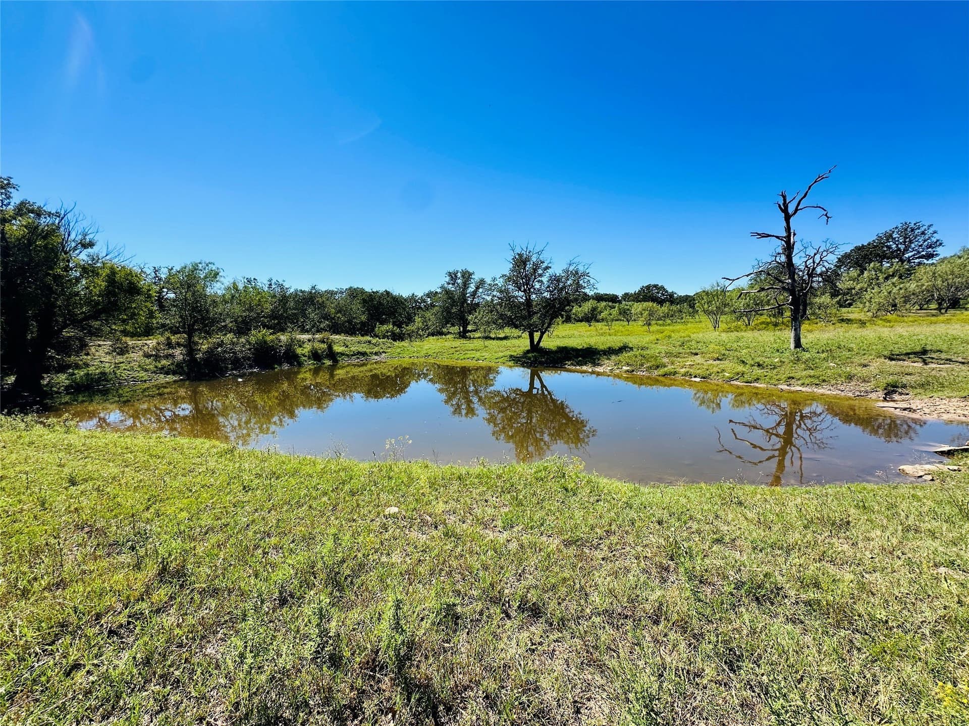 78 acres in Callahan County - photo 20