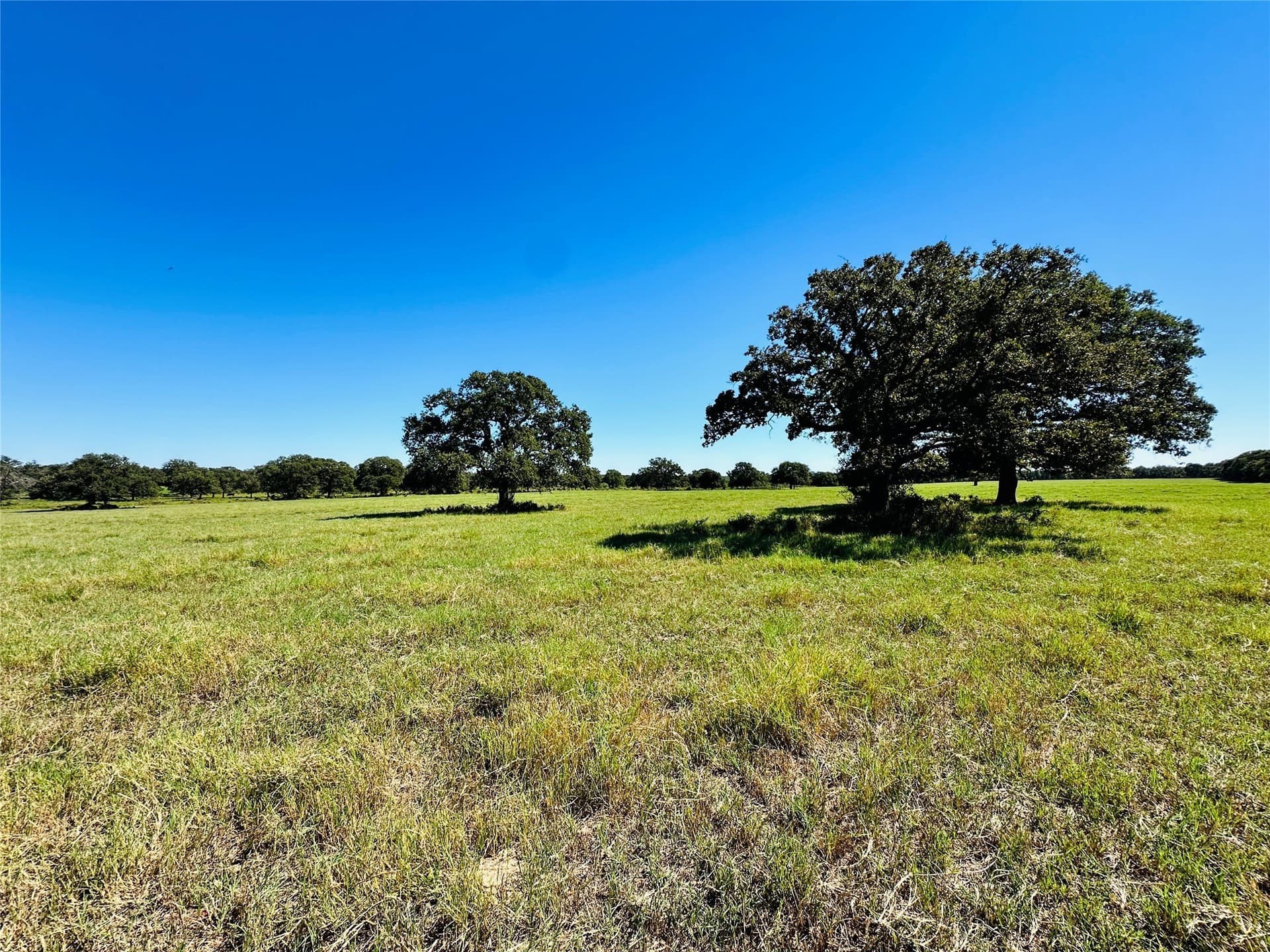 78 acres in Callahan County - photo 25