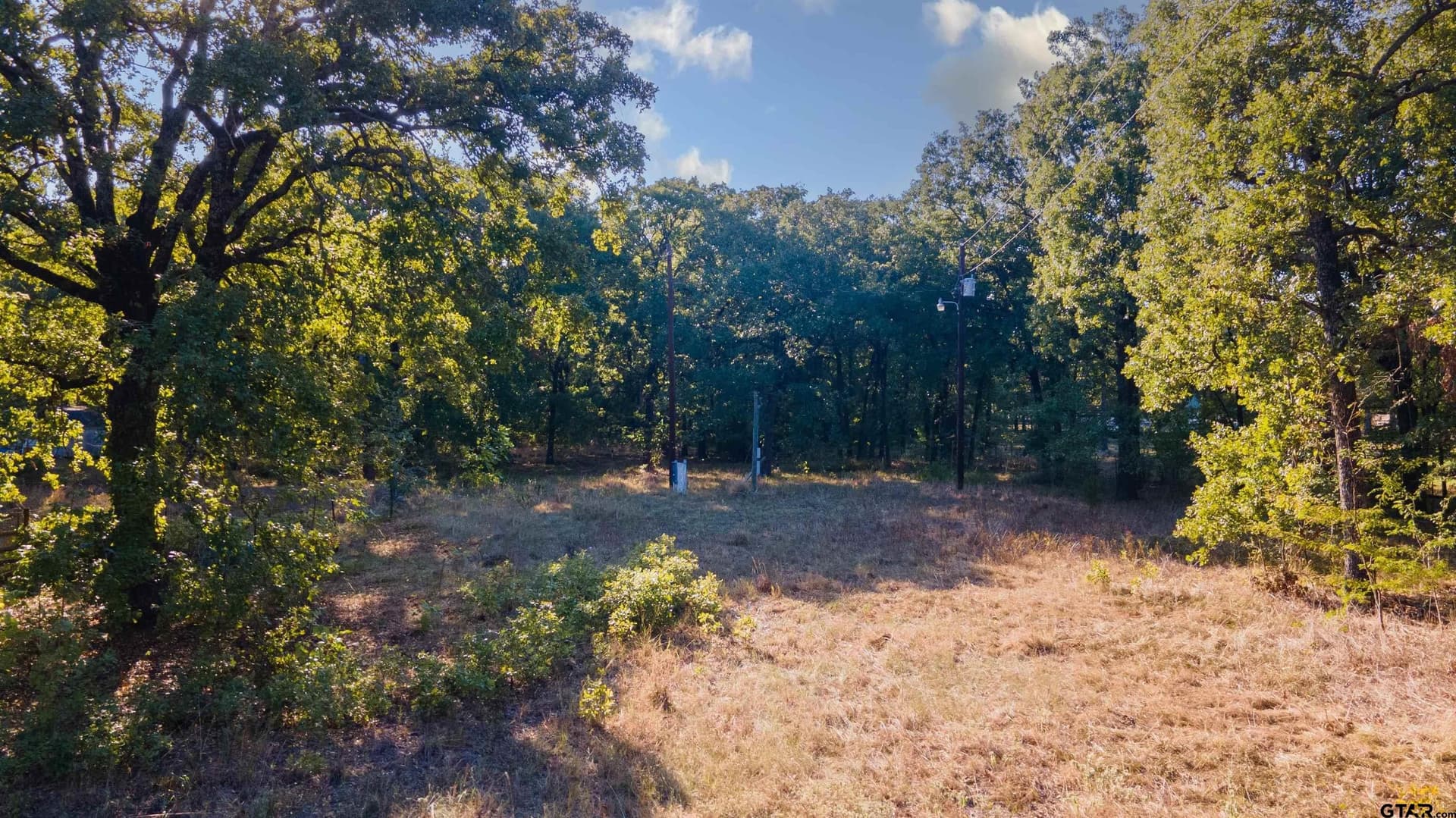 6 acres in Rains County - photo 6