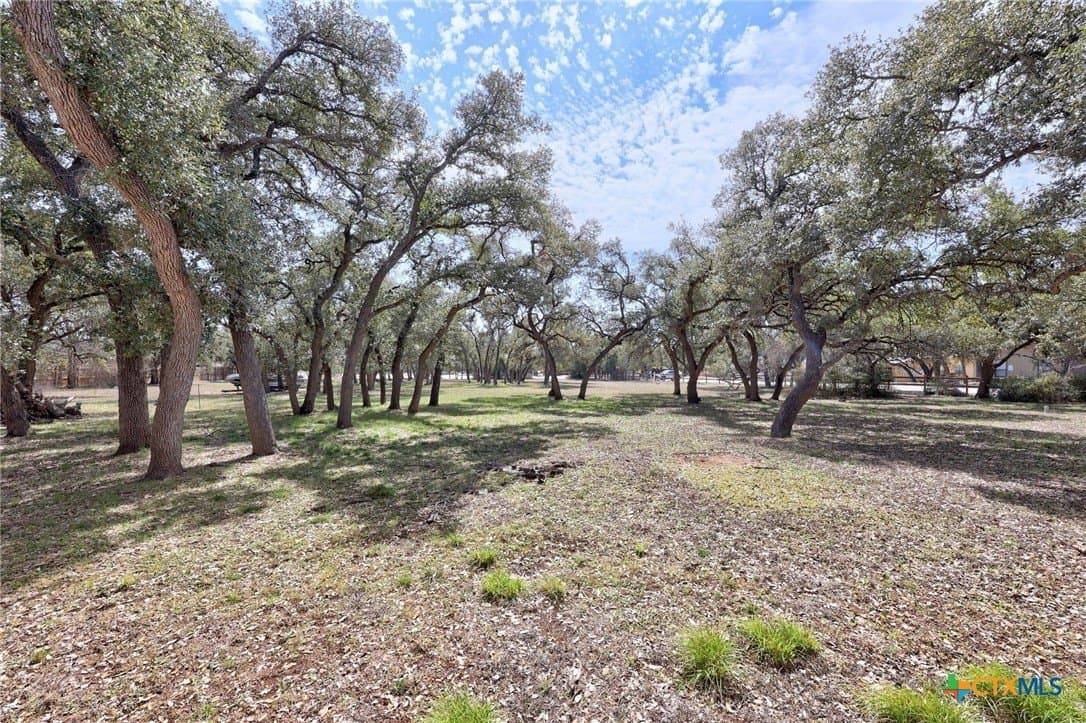 2.07 acres in Williamson County - photo 17