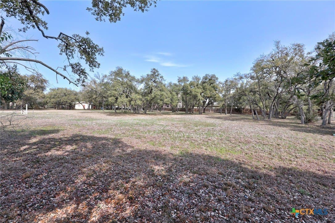 2.07 acres in Williamson County - photo 18