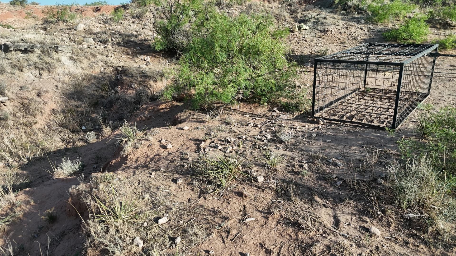 148.9 acres in Garza County - photo 14