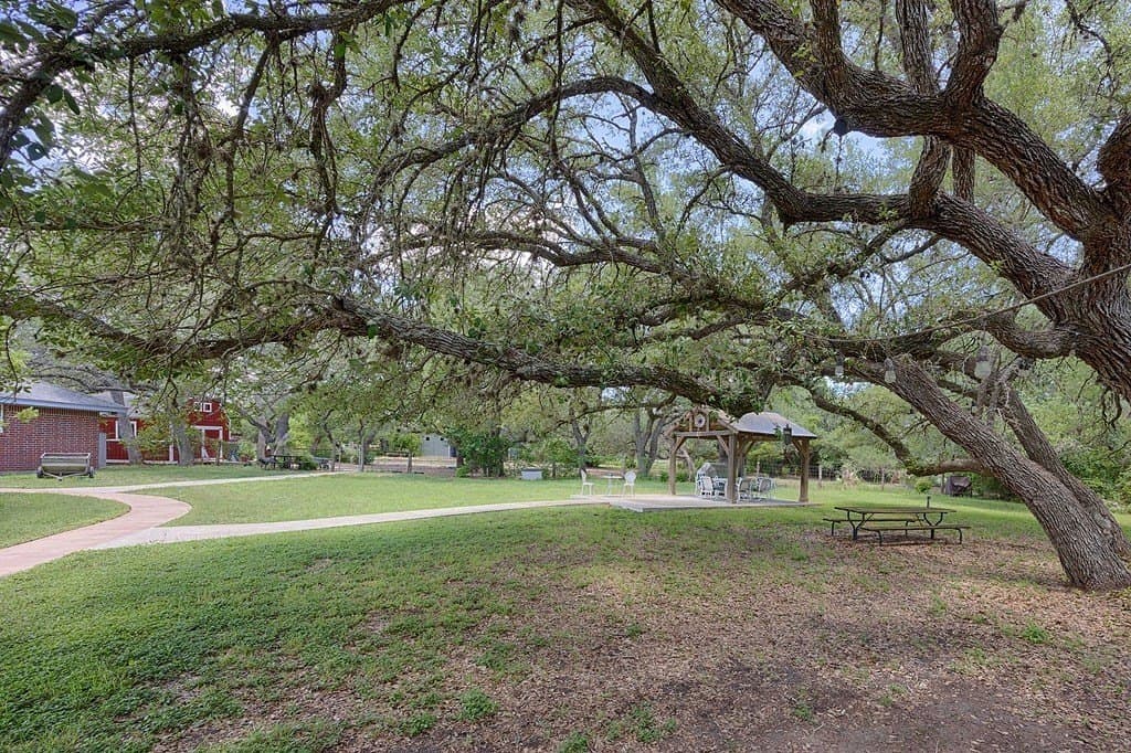 51 acres in Fayette County - photo 25