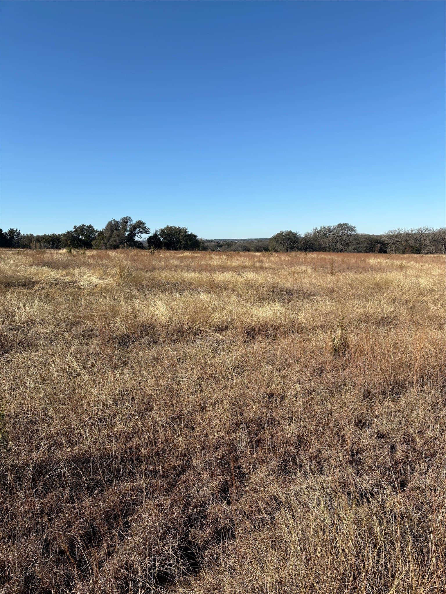 20 acres in Hamilton County - photo 6