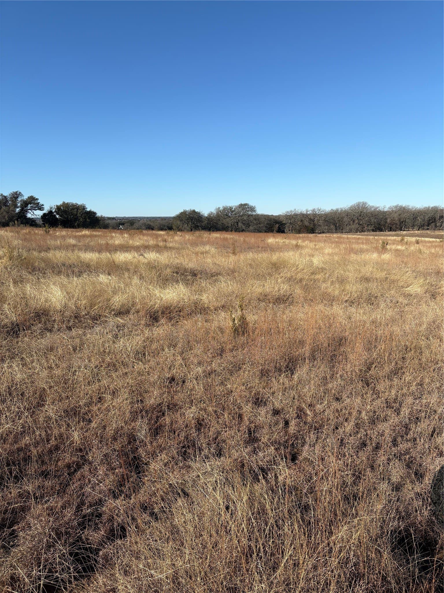 20 acres in Hamilton County - photo 4