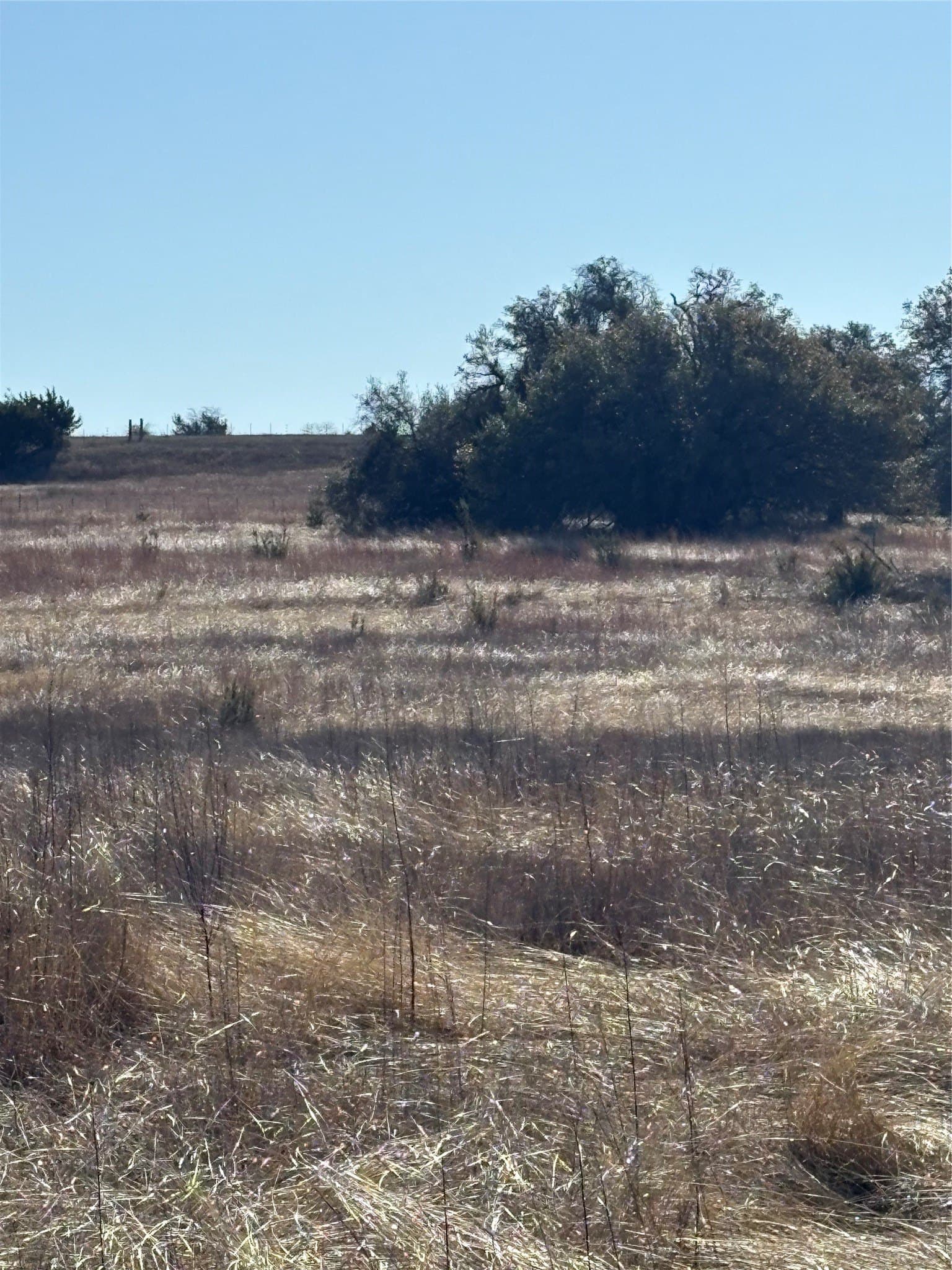 20 acres in Hamilton County - photo 10