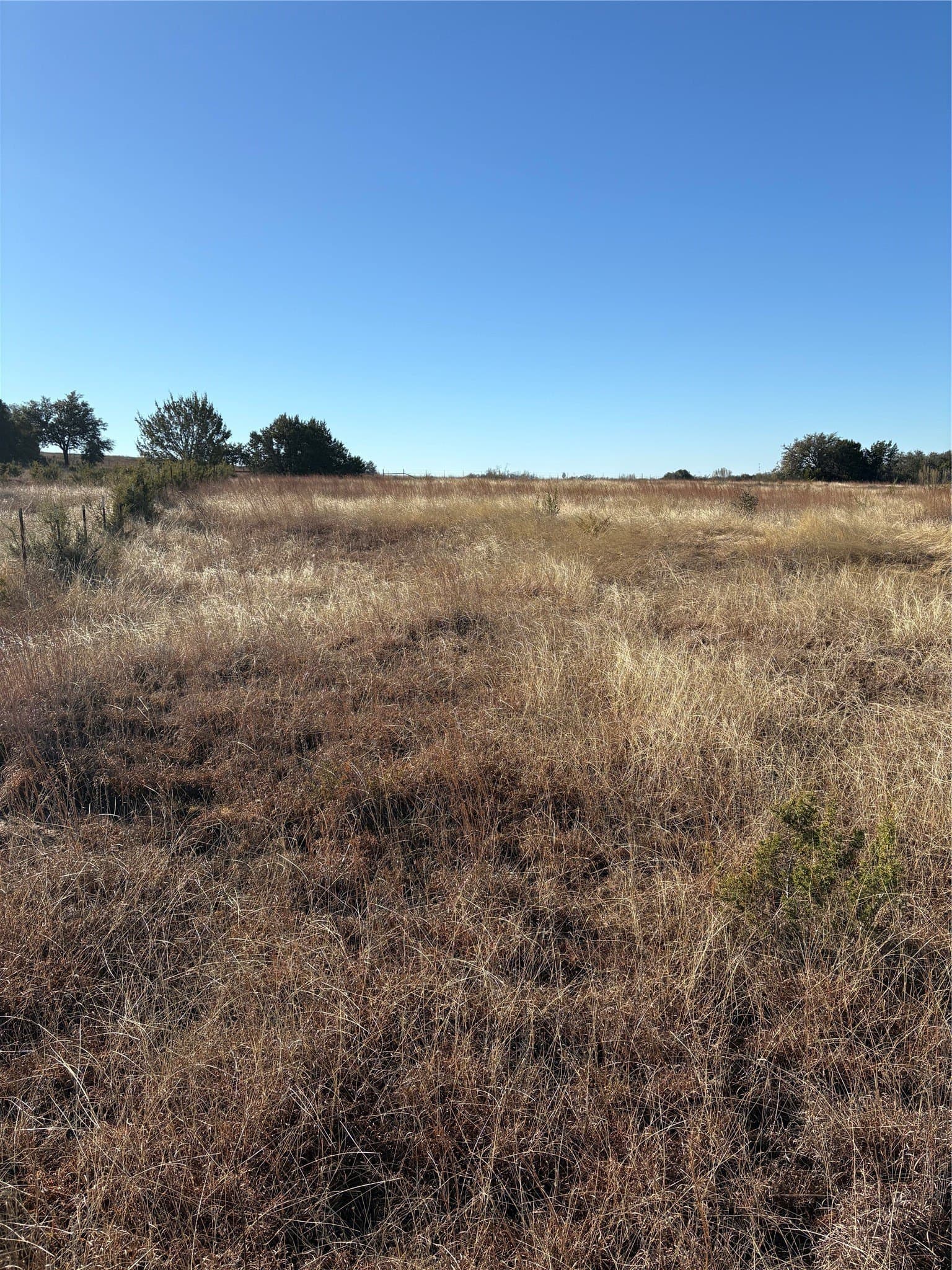 20 acres in Hamilton County - photo 5