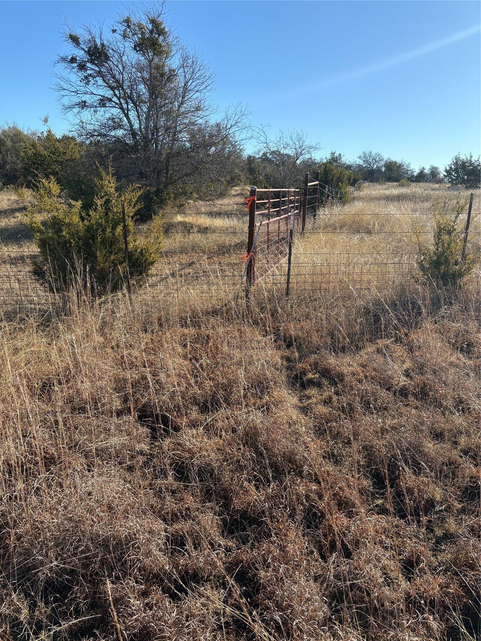 20 acres in Hamilton County - photo 3