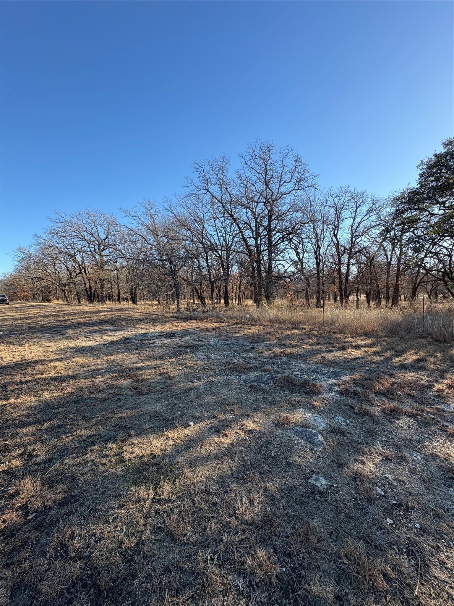 20 acres in Hamilton County - photo 2