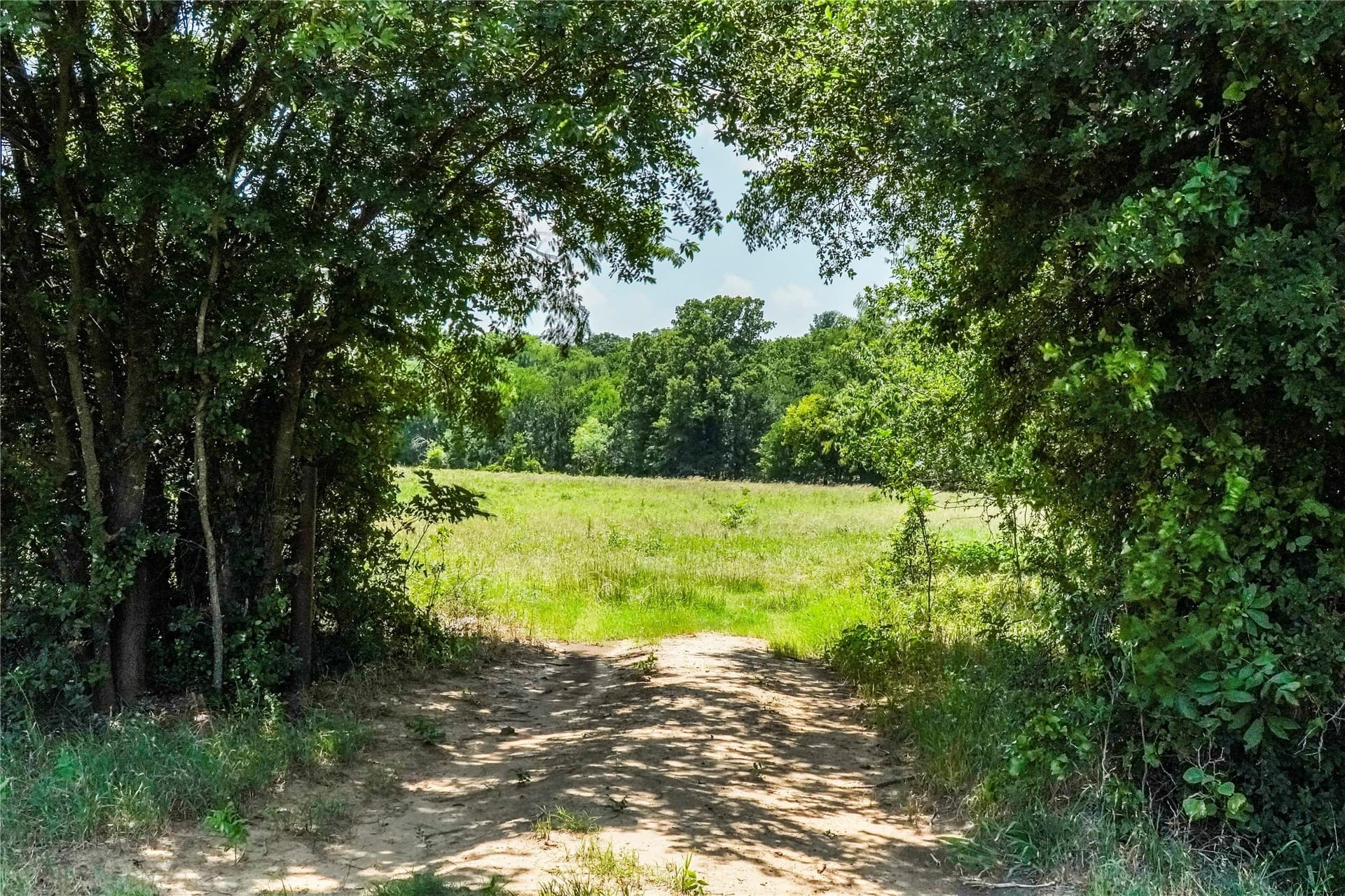 43.18 acres in Jack County - photo 29