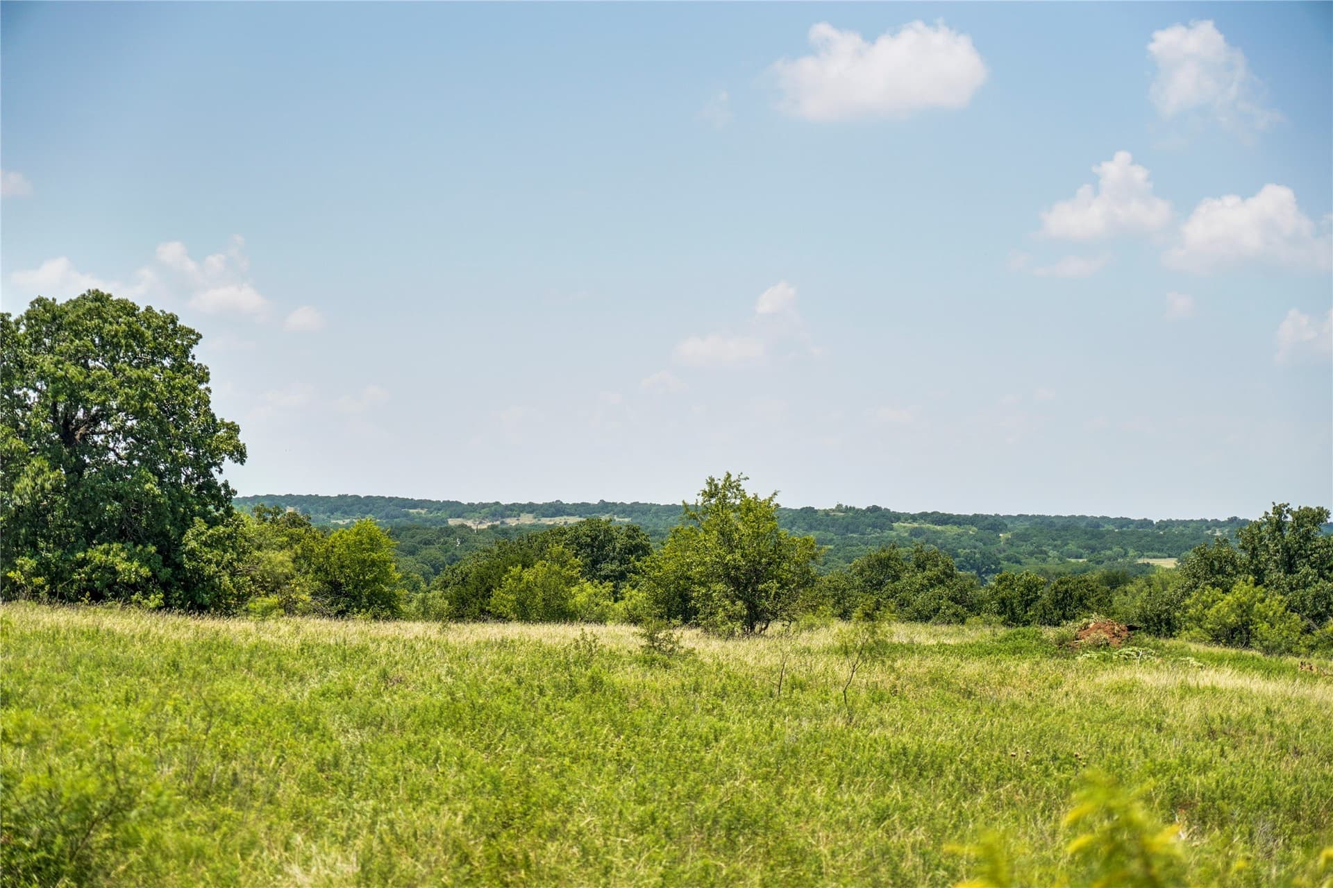 43.18 acres in Jack County - photo 23