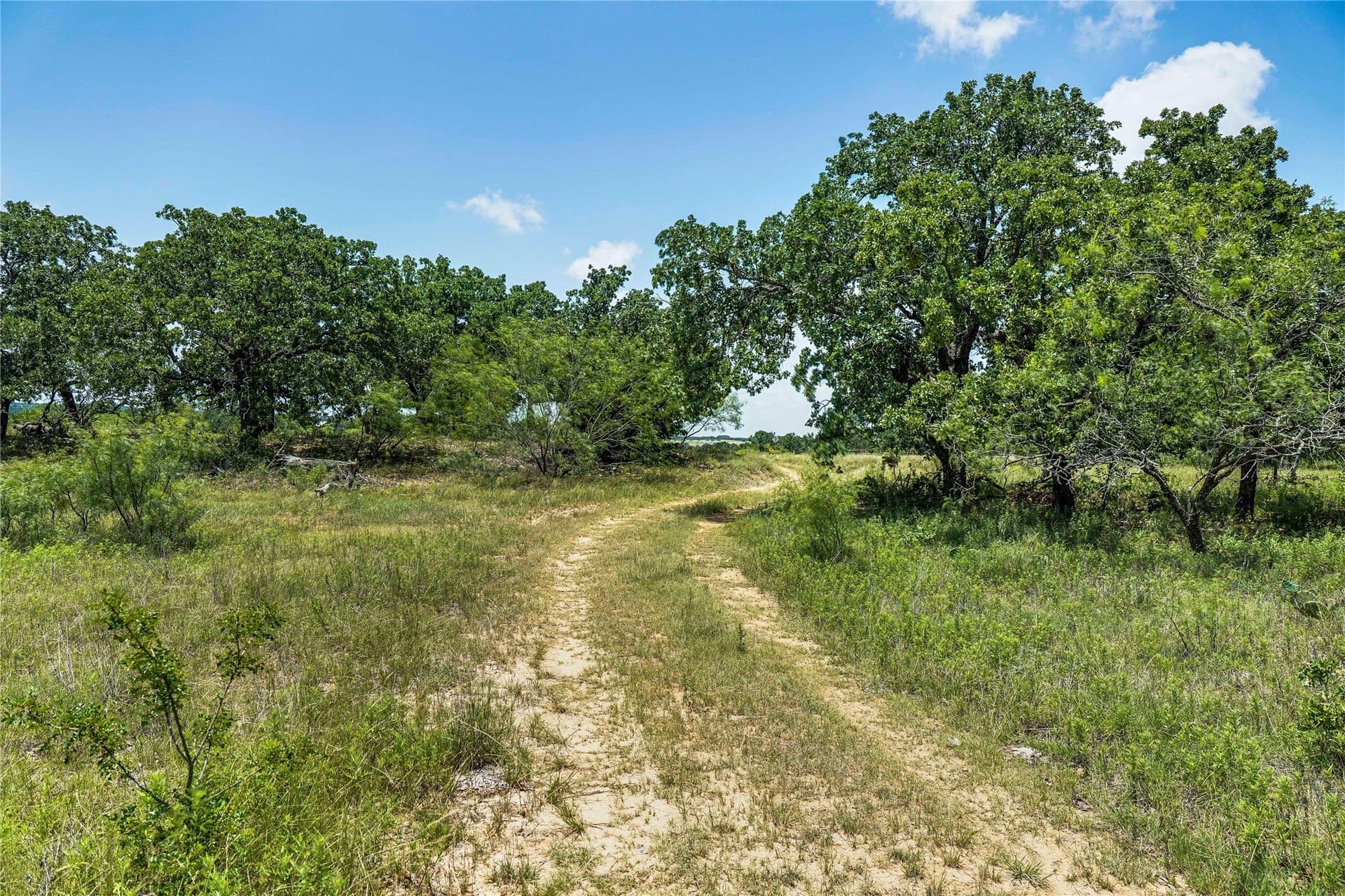 43.18 acres in Jack County - photo 2