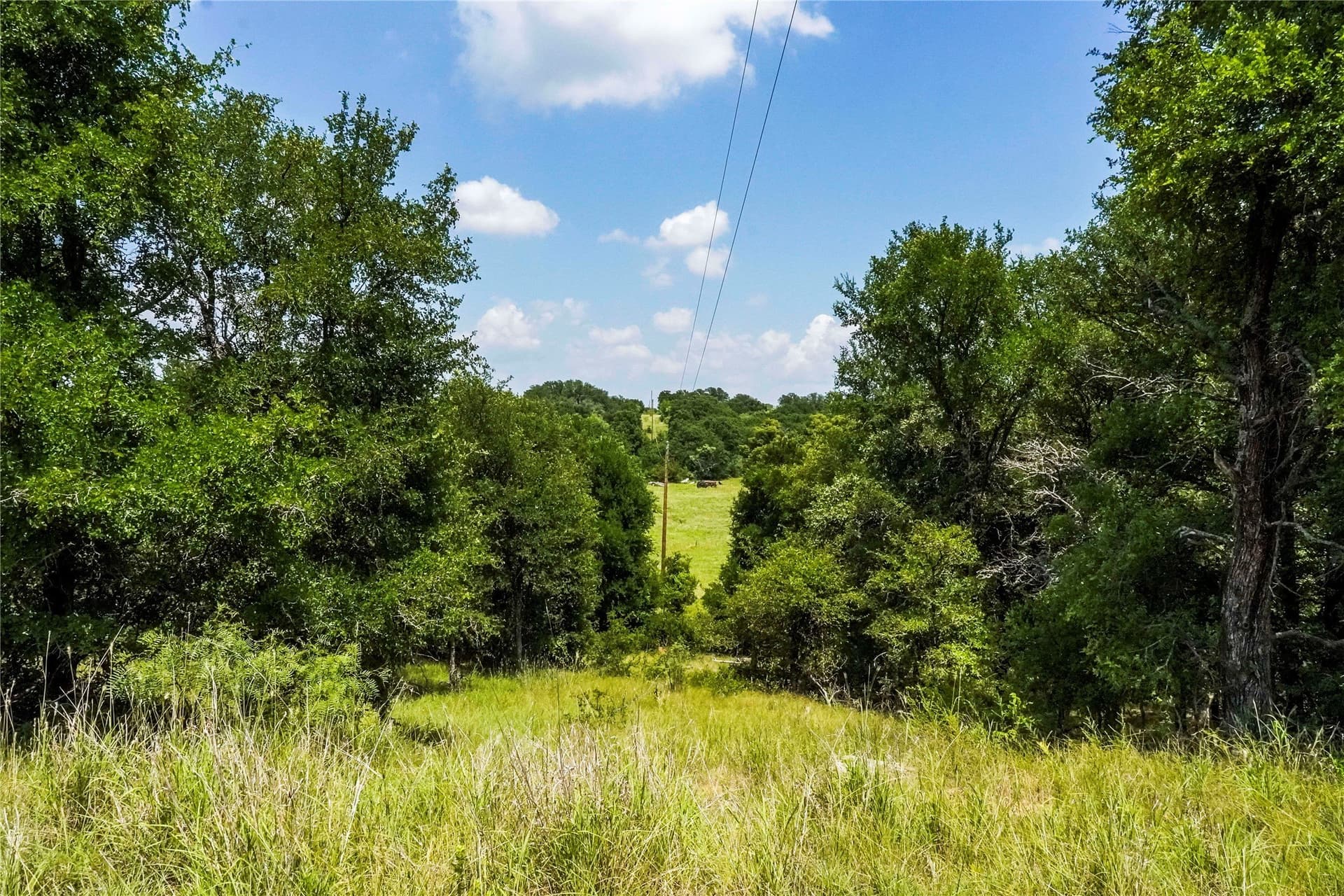 43.18 acres in Jack County - photo 34