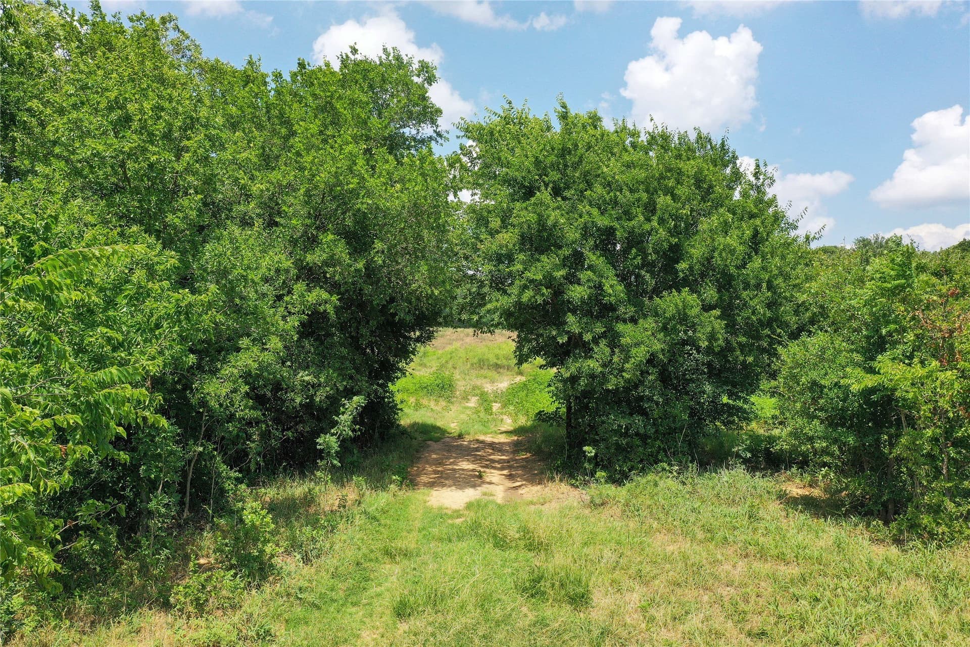 43.18 acres in Jack County - photo 9