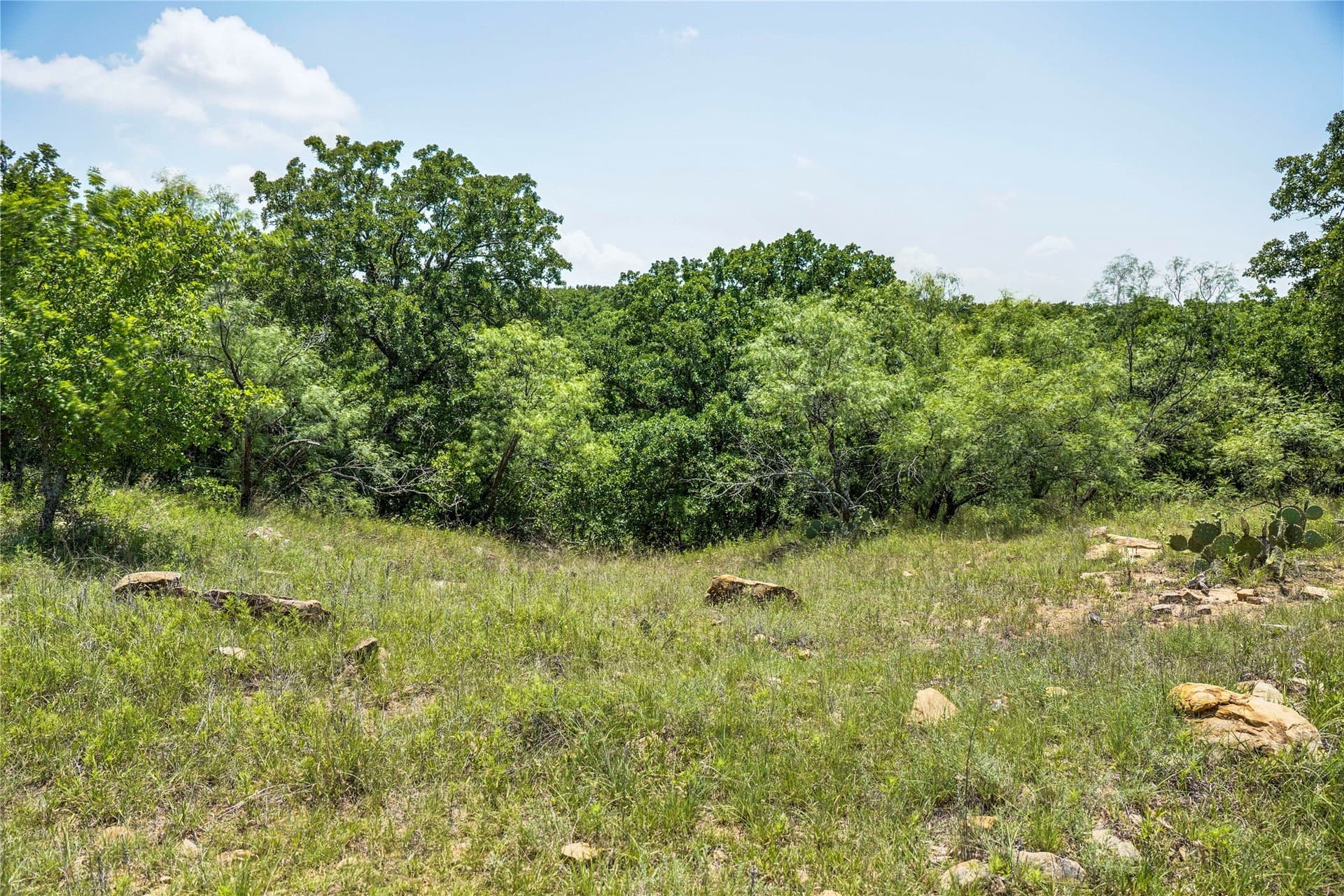 43.18 acres in Jack County - photo 20