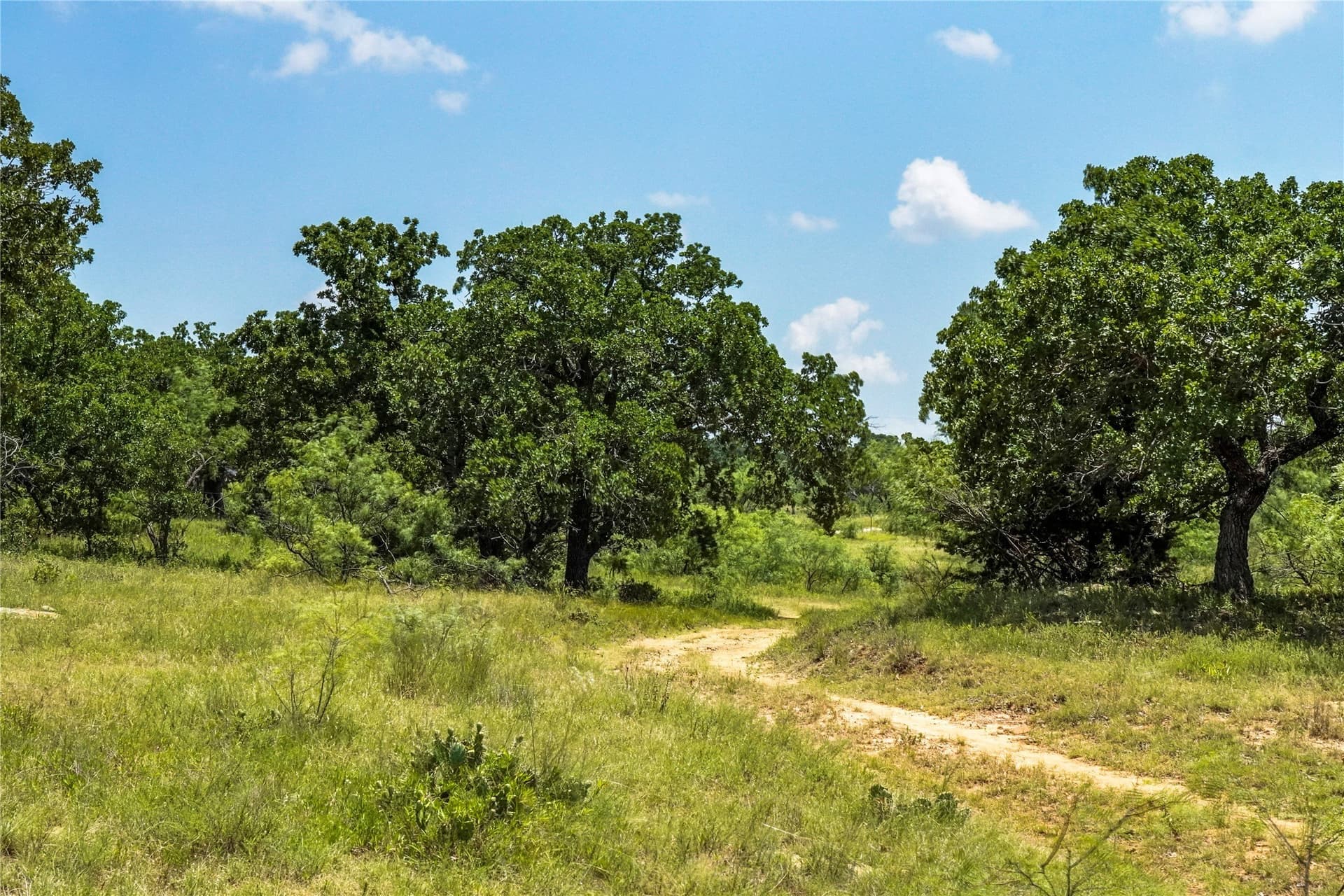 43.18 acres in Jack County - photo 24