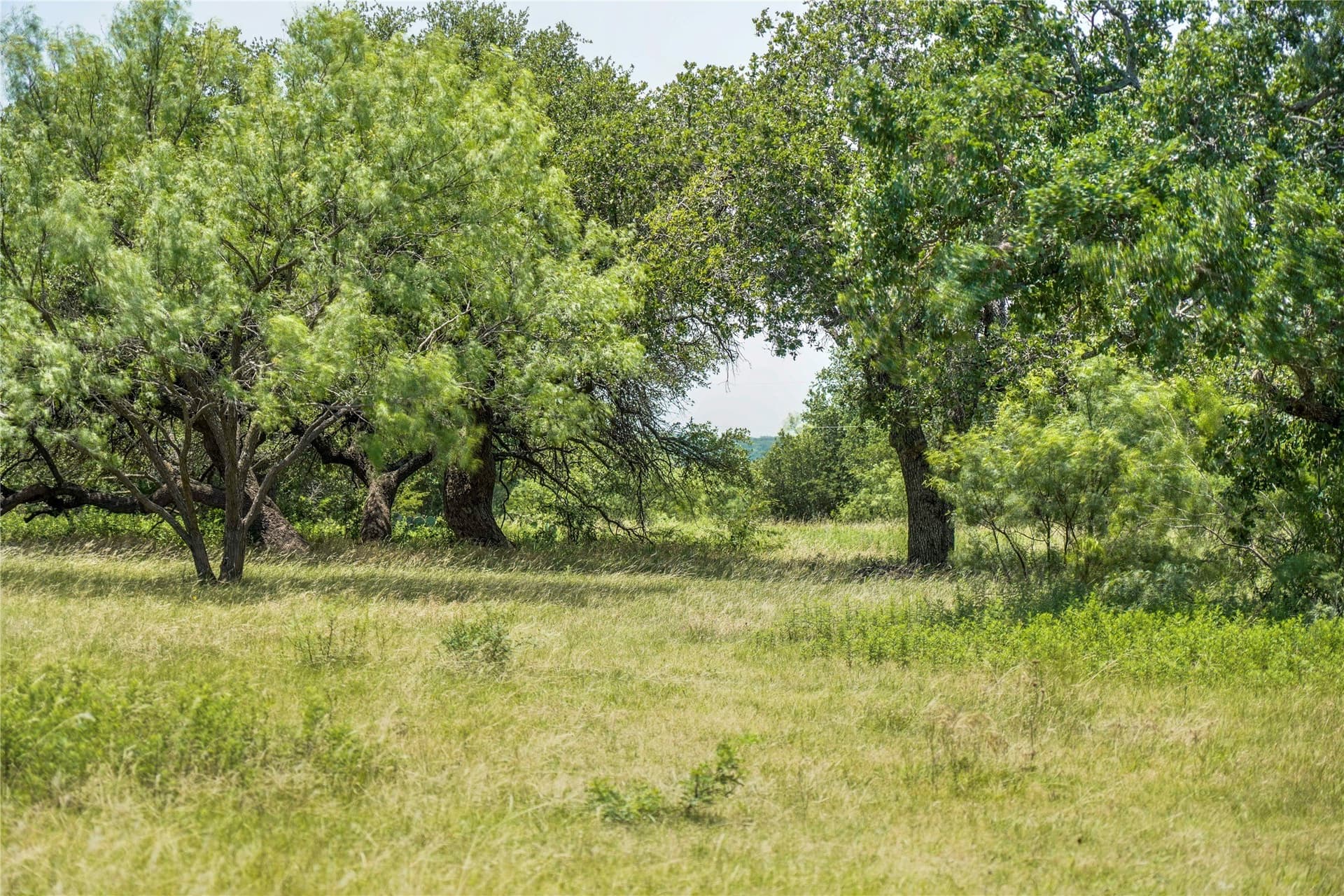 43.18 acres in Jack County - photo 19
