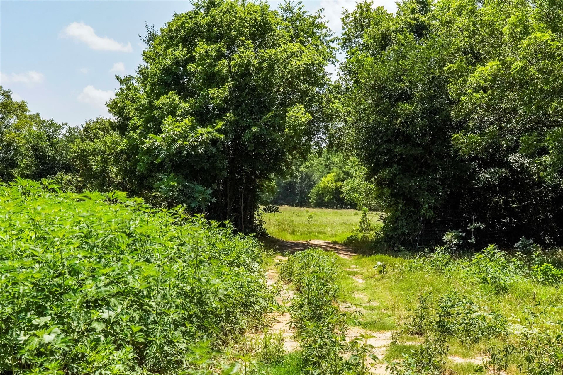 43.18 acres in Jack County - photo 28