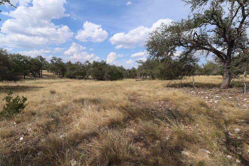 4.3 acres in Gillespie County - photo 2