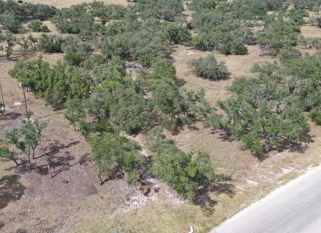 4.3 acres in Gillespie County - photo 6