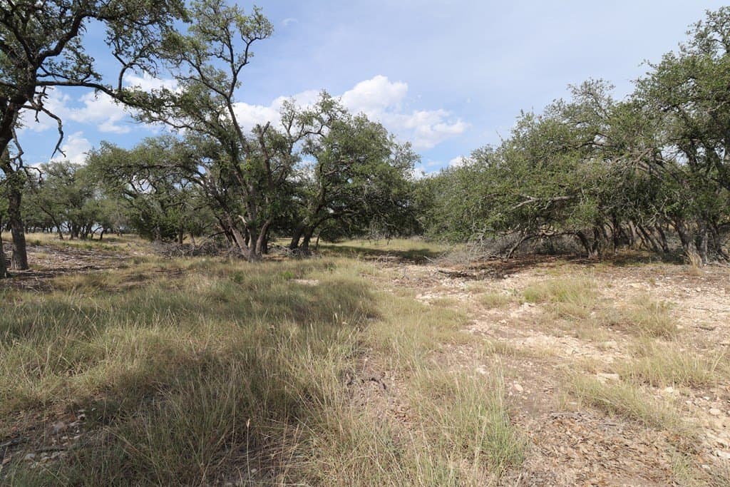 4.3 acres in Gillespie County - photo 4