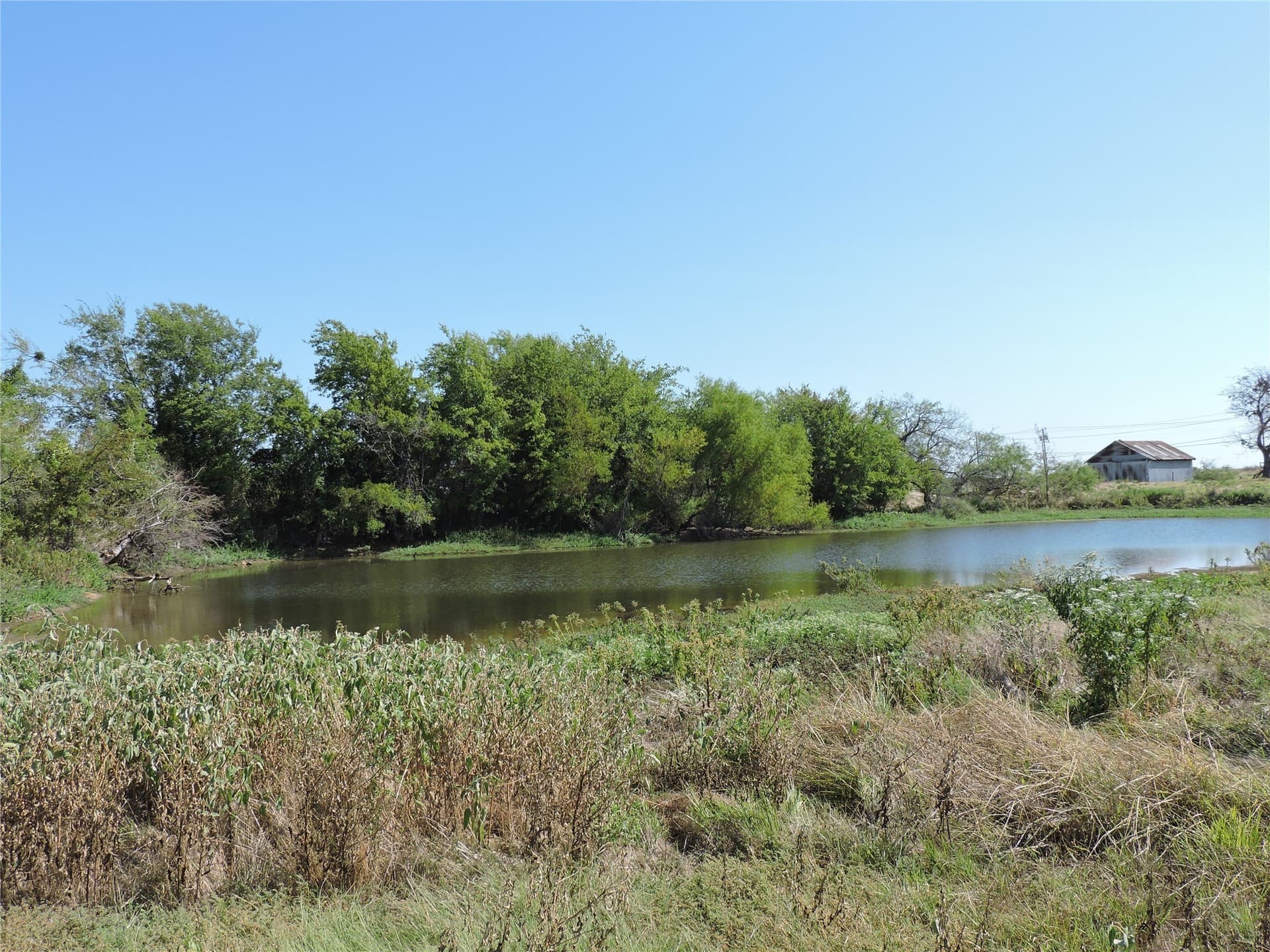 4.68 acres in Henderson County gallery image 4