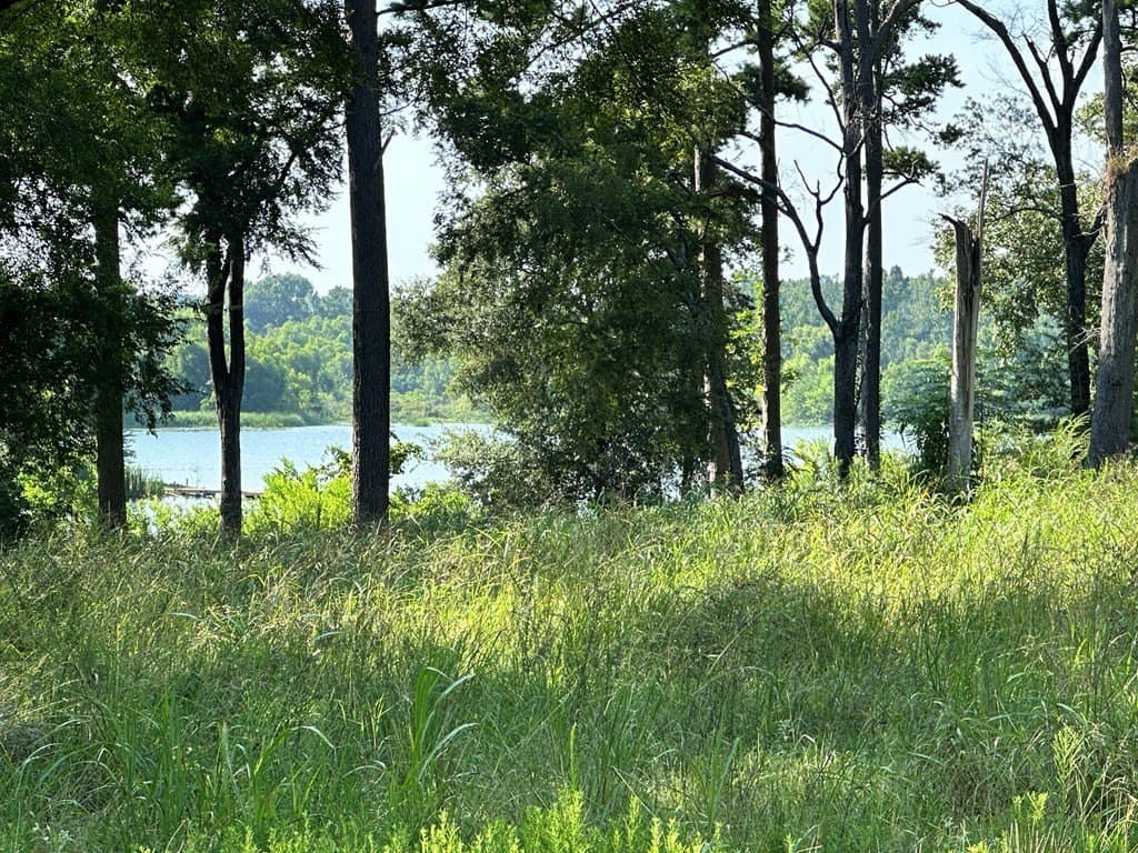 5 acres in ANDERSON County - photo 9