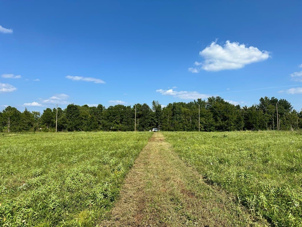 5 acres in ANDERSON County - photo 7