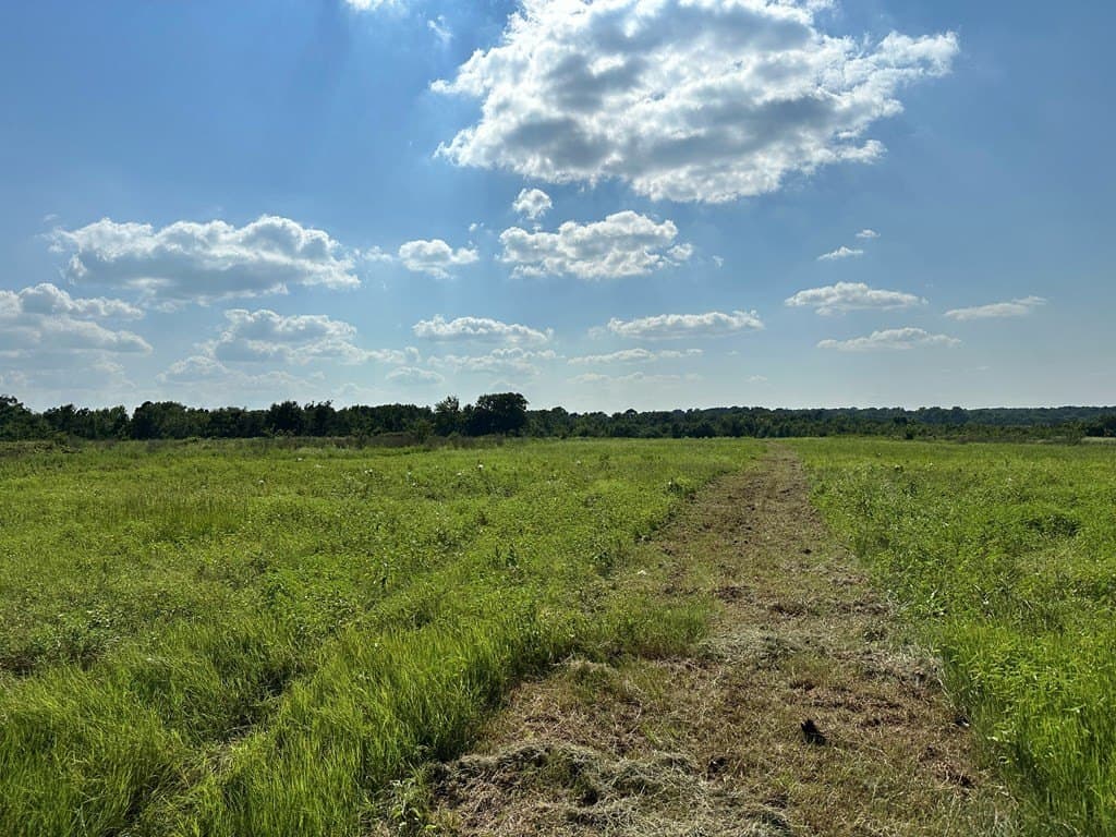 5 acres in ANDERSON County gallery image 4